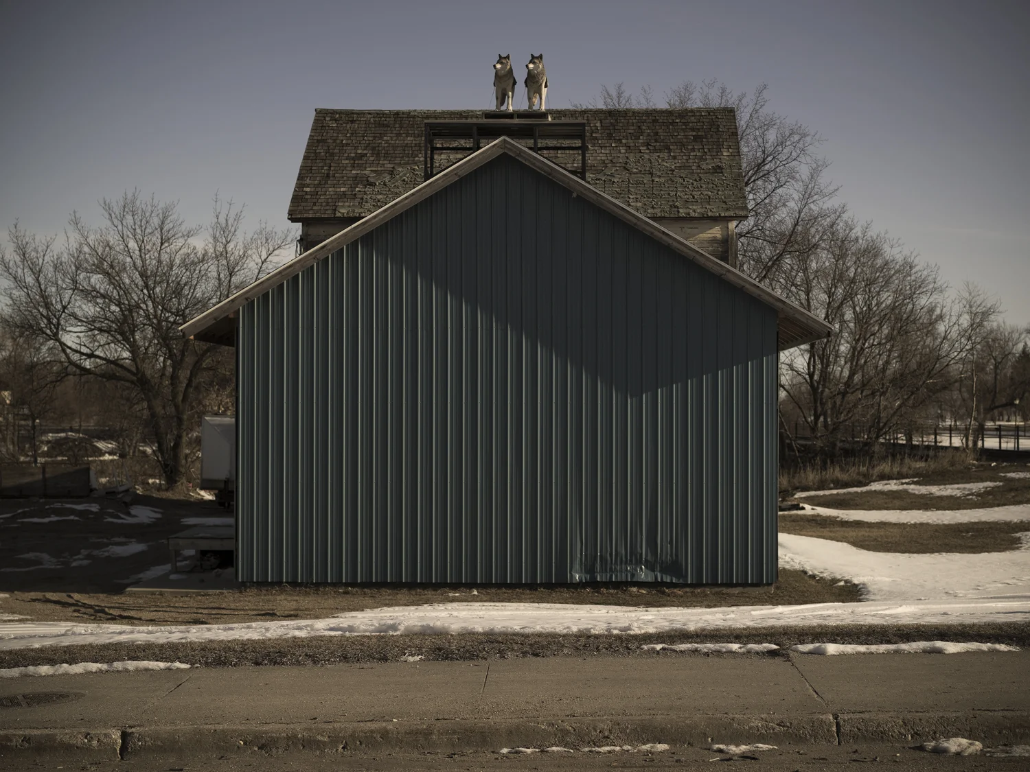 Wolf Roof-004386.jpg