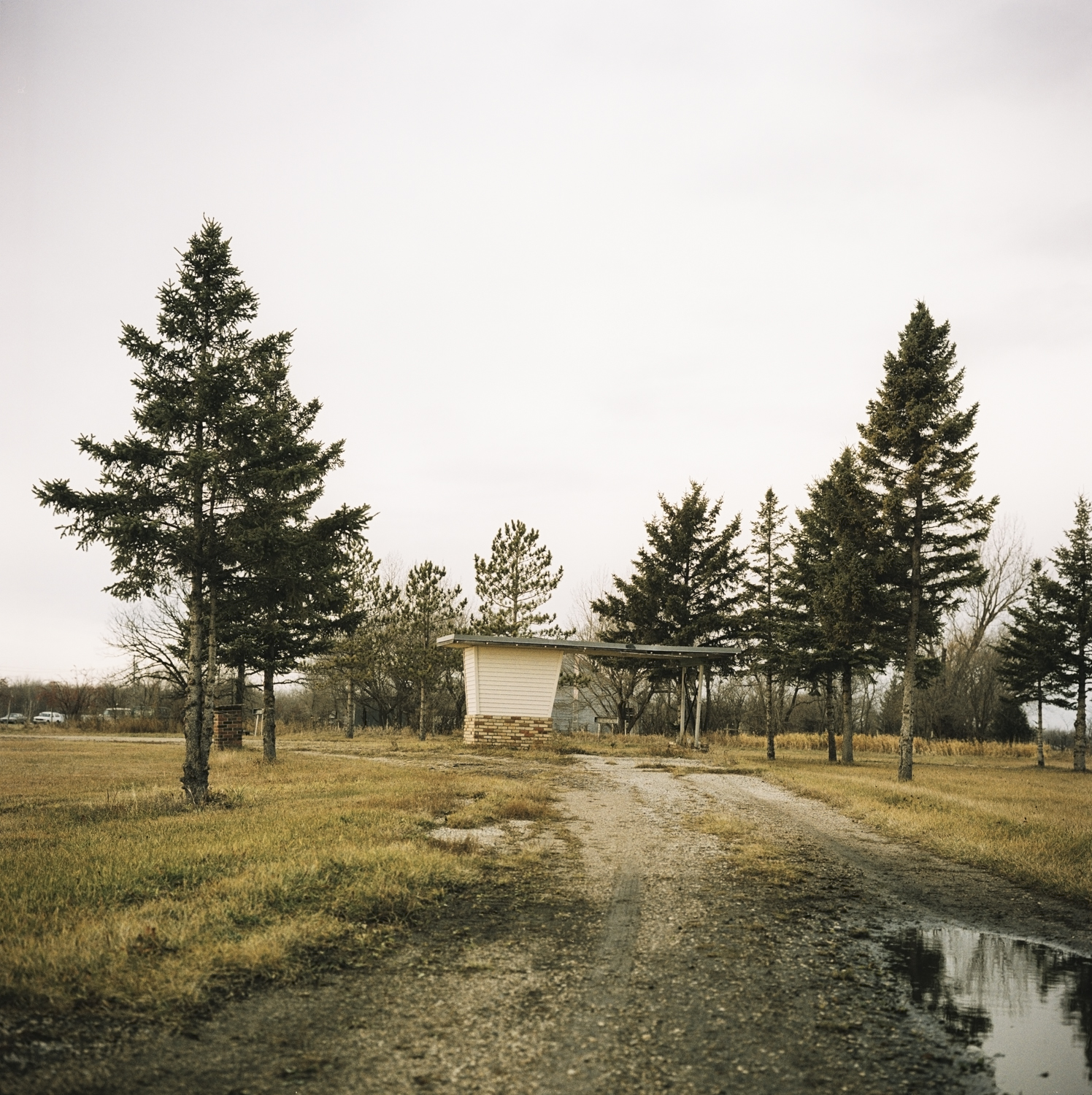 TRF DriveIn-0008.jpg