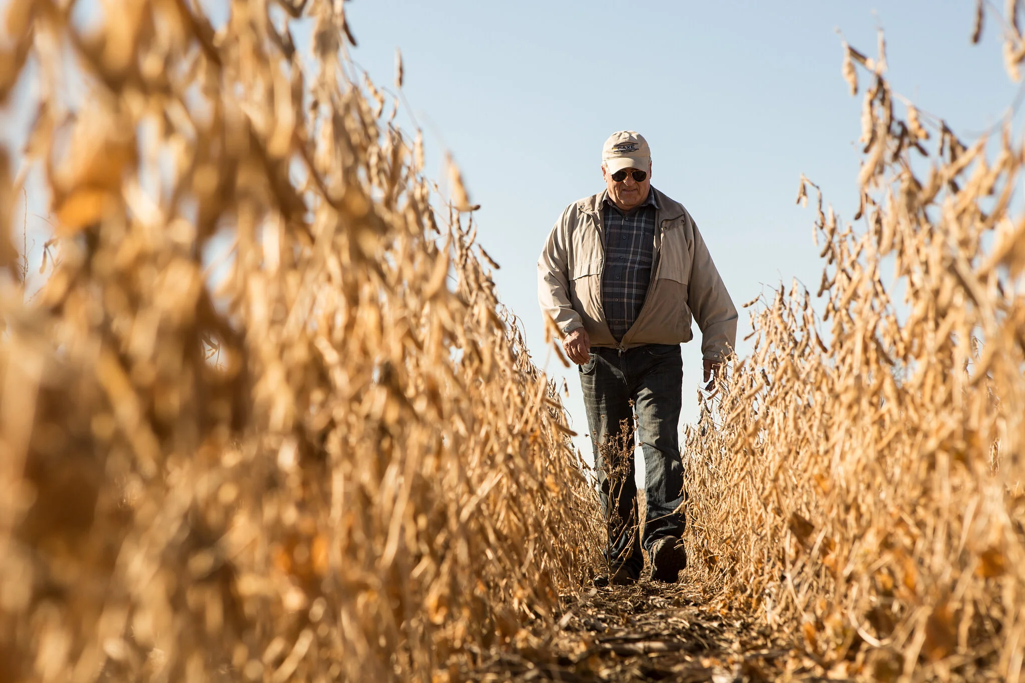 Harvest_Soybean_CRP140095_-5949.jpg