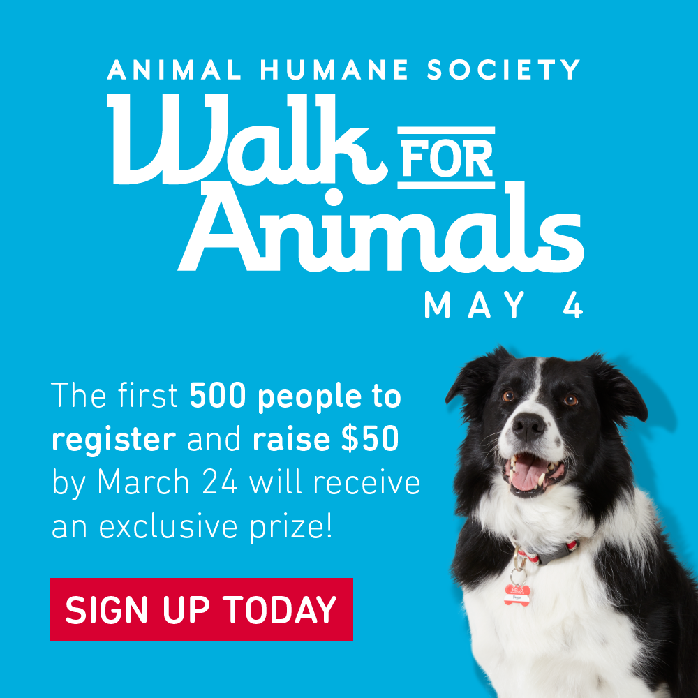 WFA19_EarlyRegistrationLightbox.png