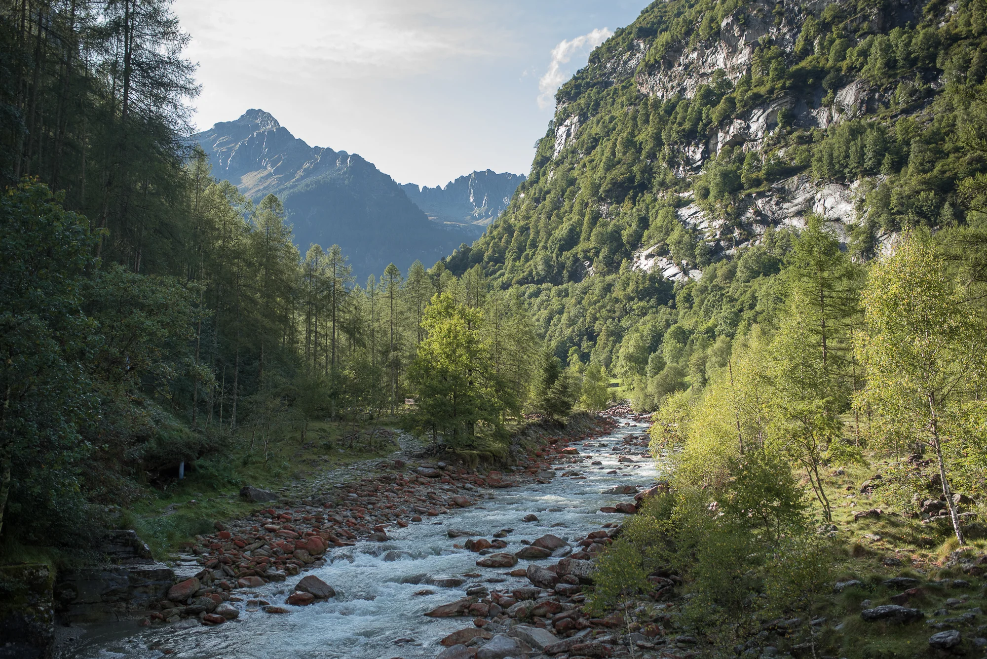 VerzascaFOTO17__DSC7837_photoElenaVaninetti.jpg
