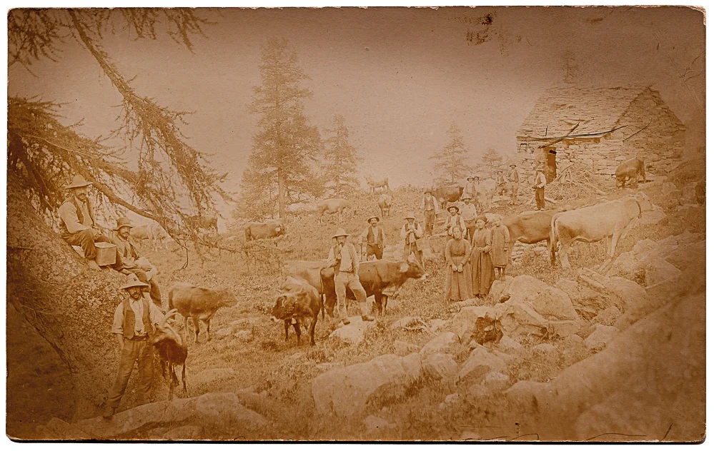 34-166x105 cm.jpg