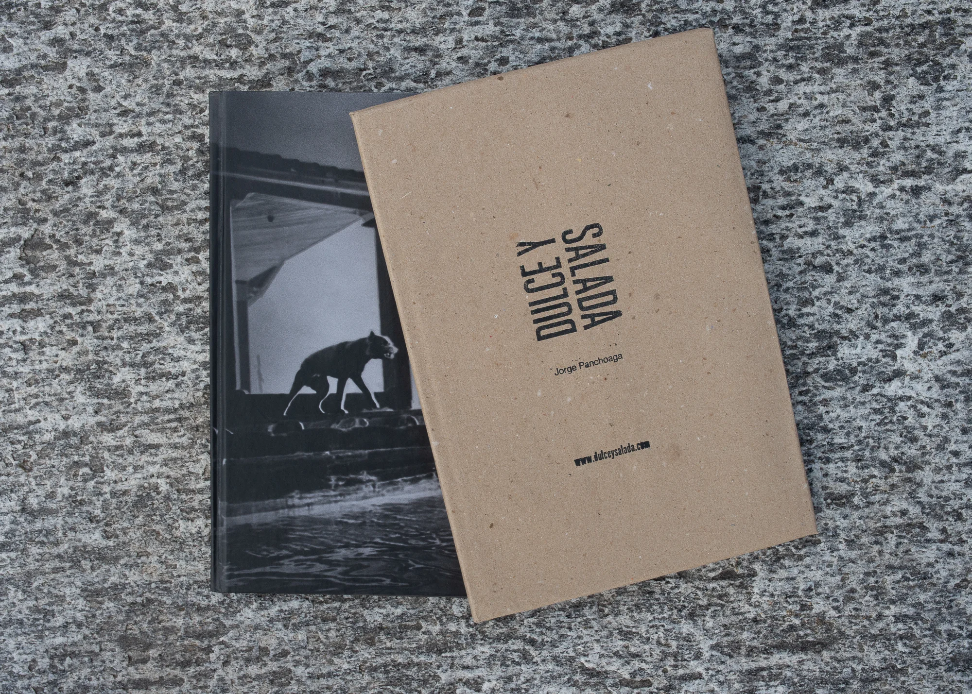 Dulce y Salada - Jorge Panchoaga