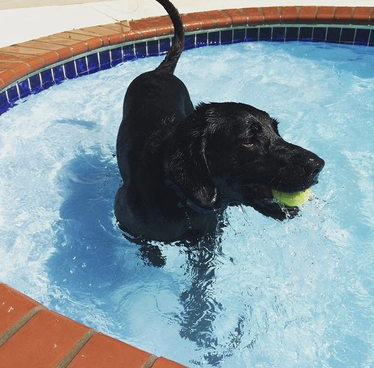 poollab.jpg