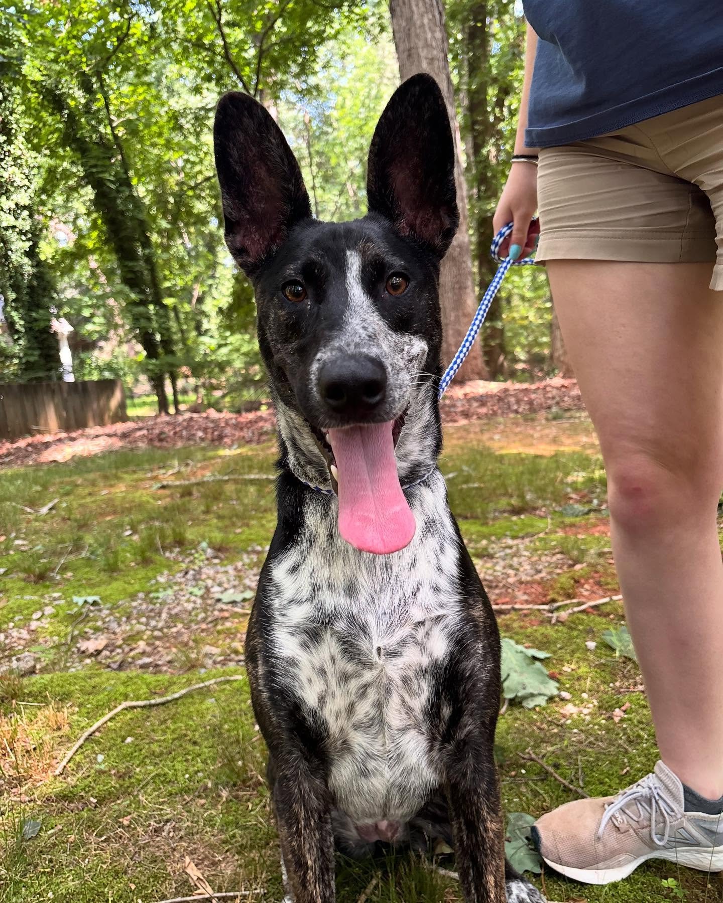 Juneau is the sweetest girl!!