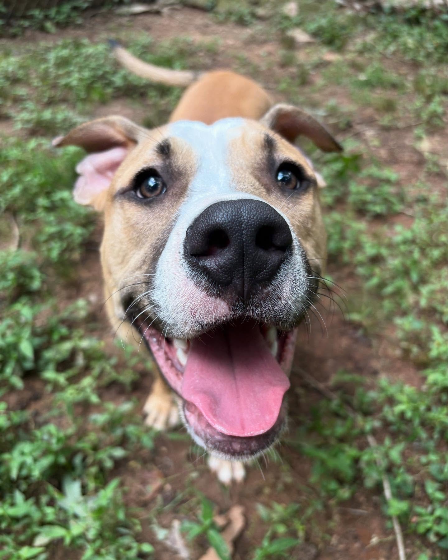 Rubble is the cutest baby!!!