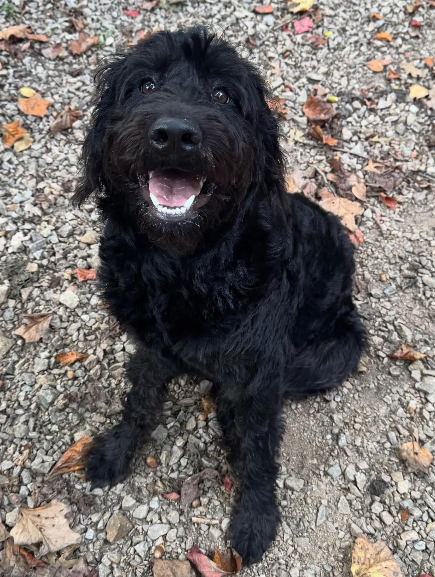 Ella is such a gorgeous girl!