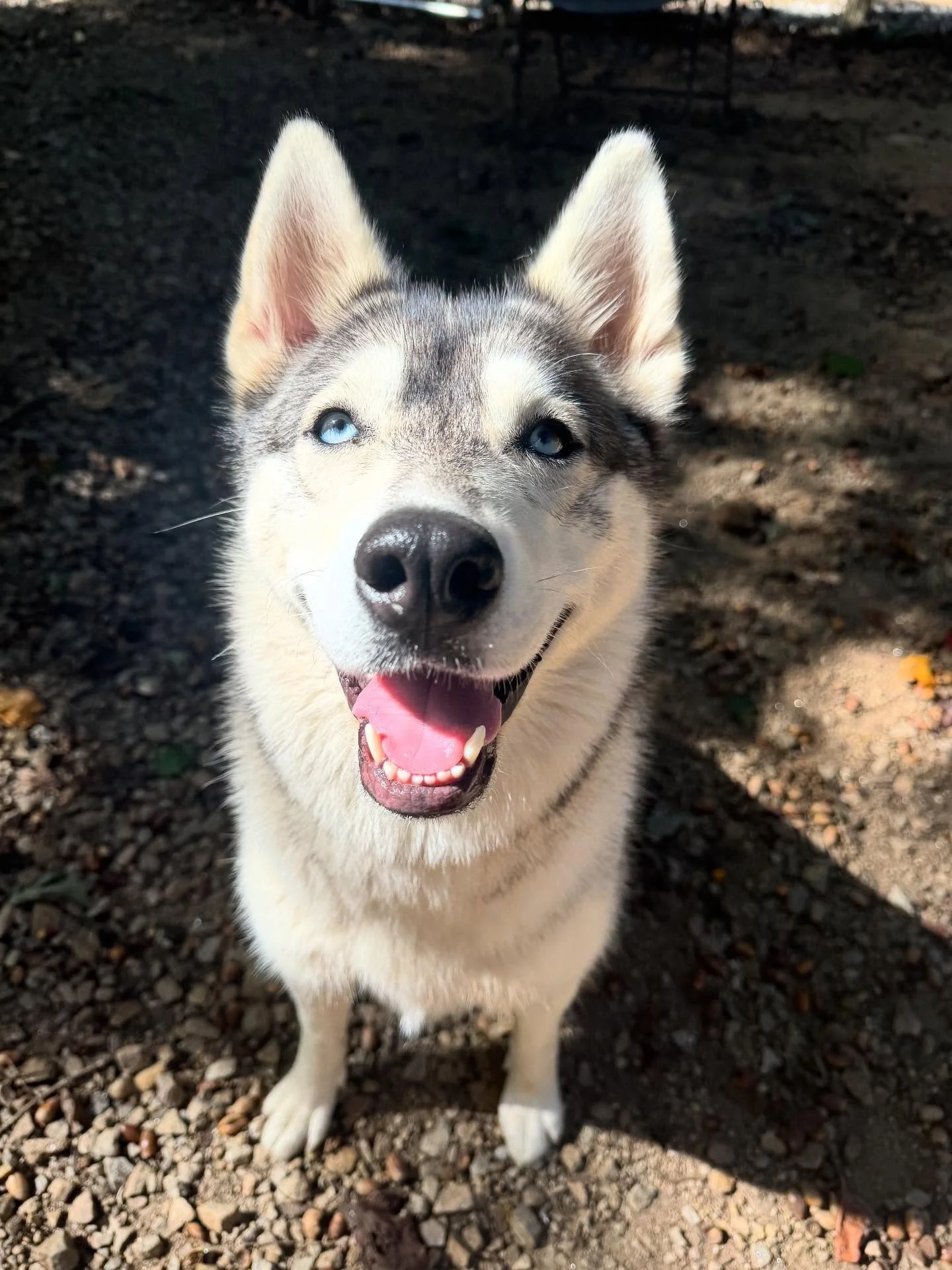 Charlotte is a the prettiest girl!