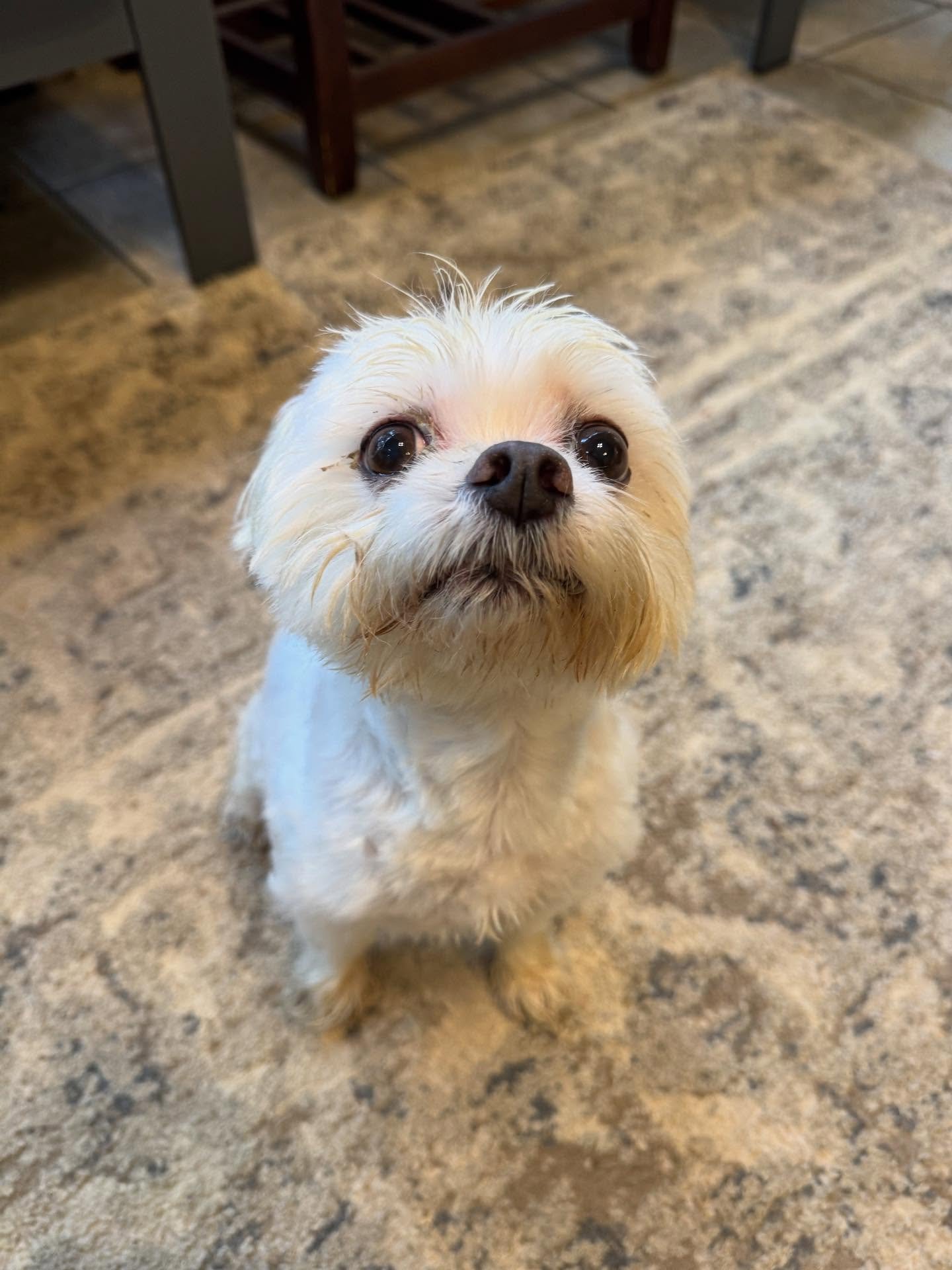 Luca has the sweetest face ever!