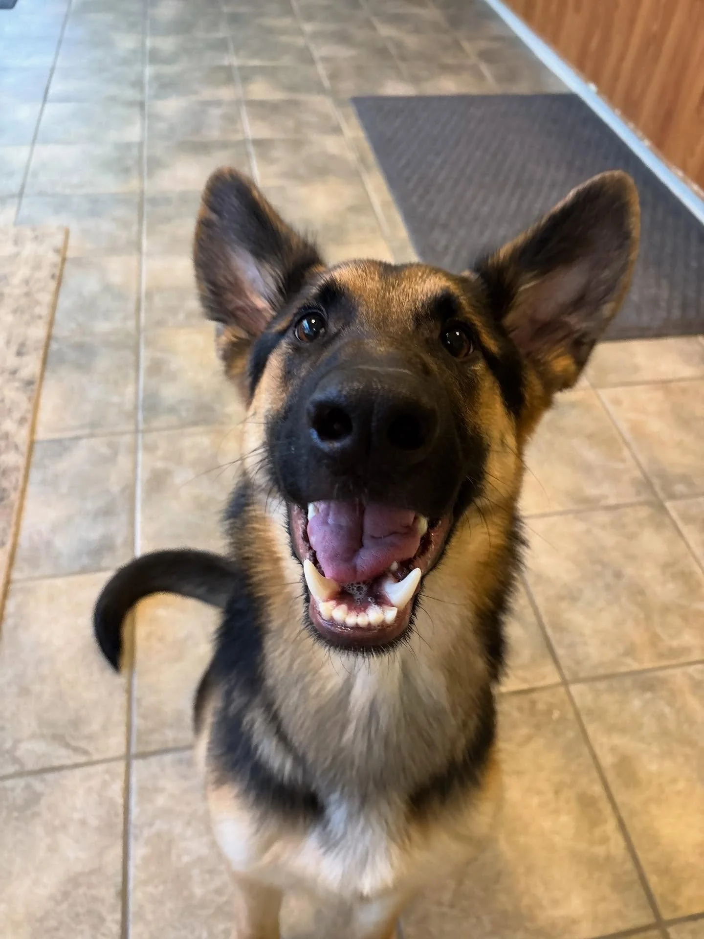 It&rsquo;s party time with Marty!