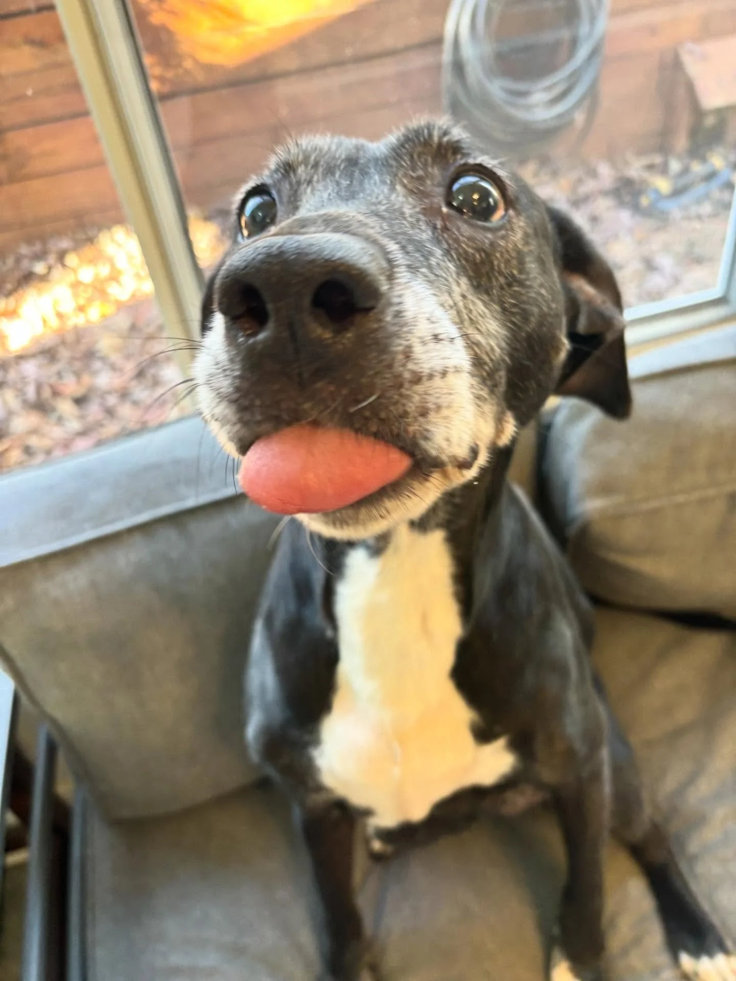 Lilly loves her laptimes!