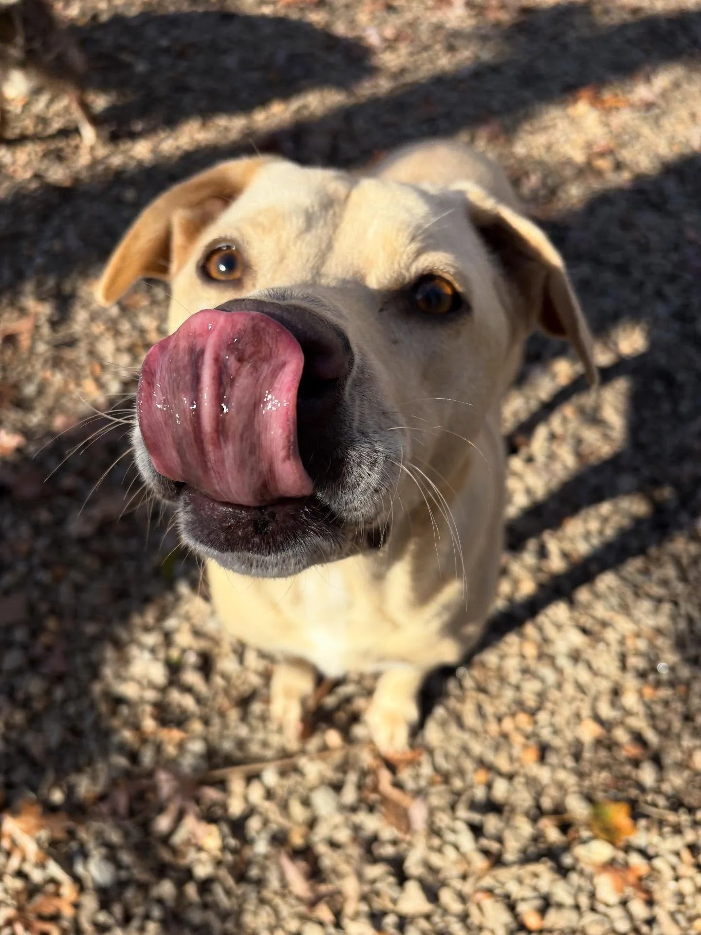 Arthur and Mercy are so sweet!!