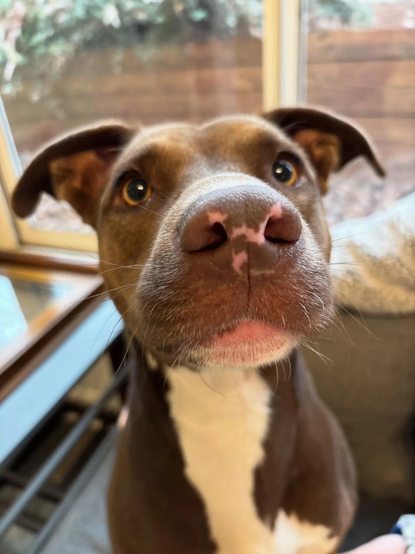 Xena is the sweetest!!