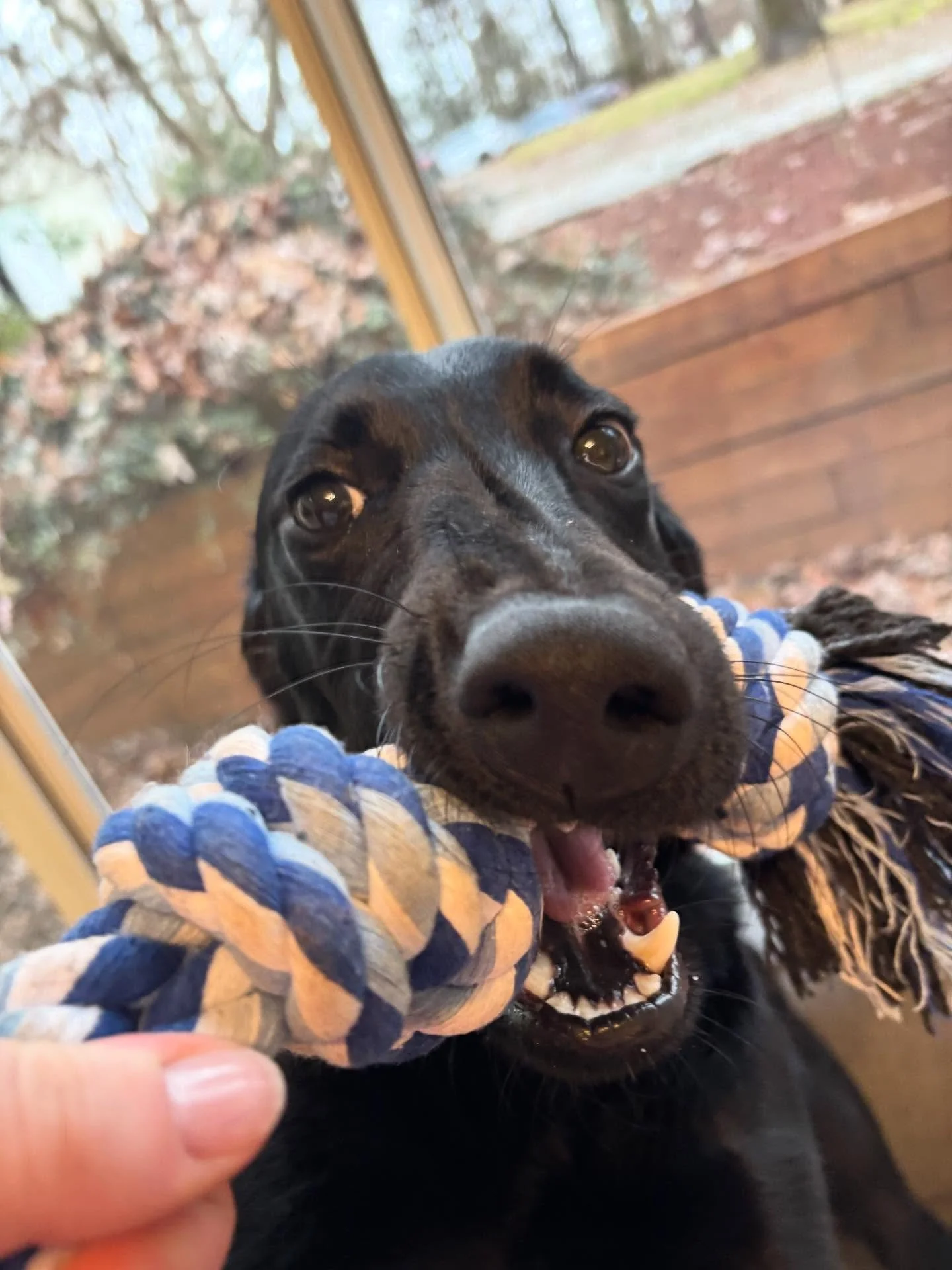 Wednesday is giving us all the silly vibes we love!