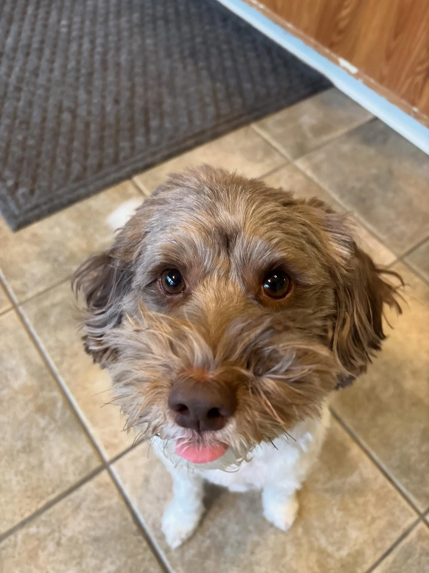 Ollie pop is loving his laptime!