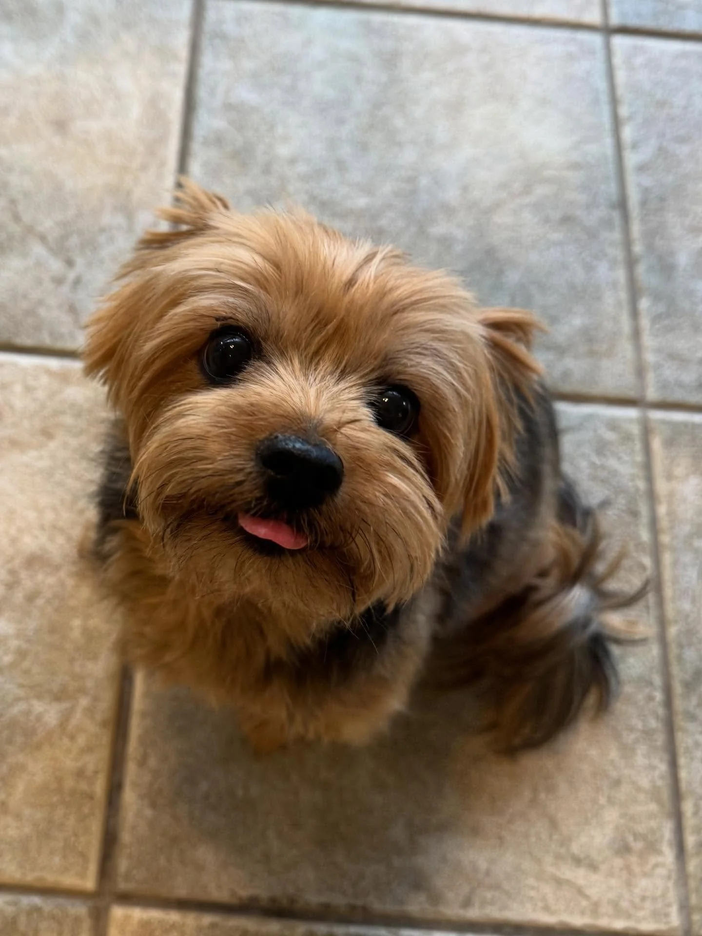 Willie is just precious!