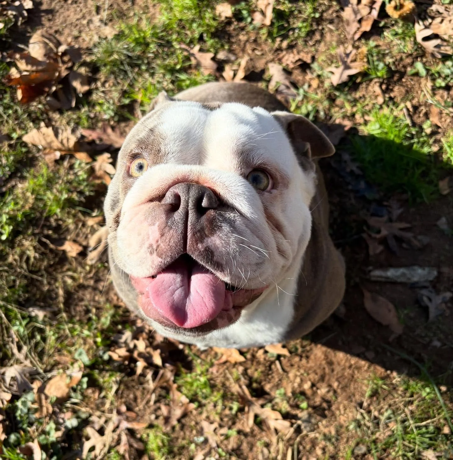 Hanging out with lil Luna!