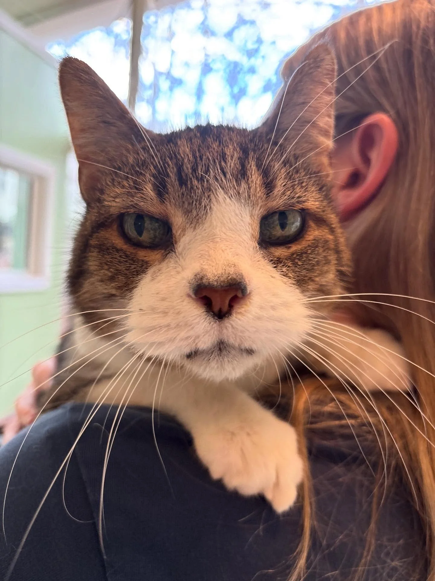 It&rsquo;s cuddle time for Kiwi this afternoon!