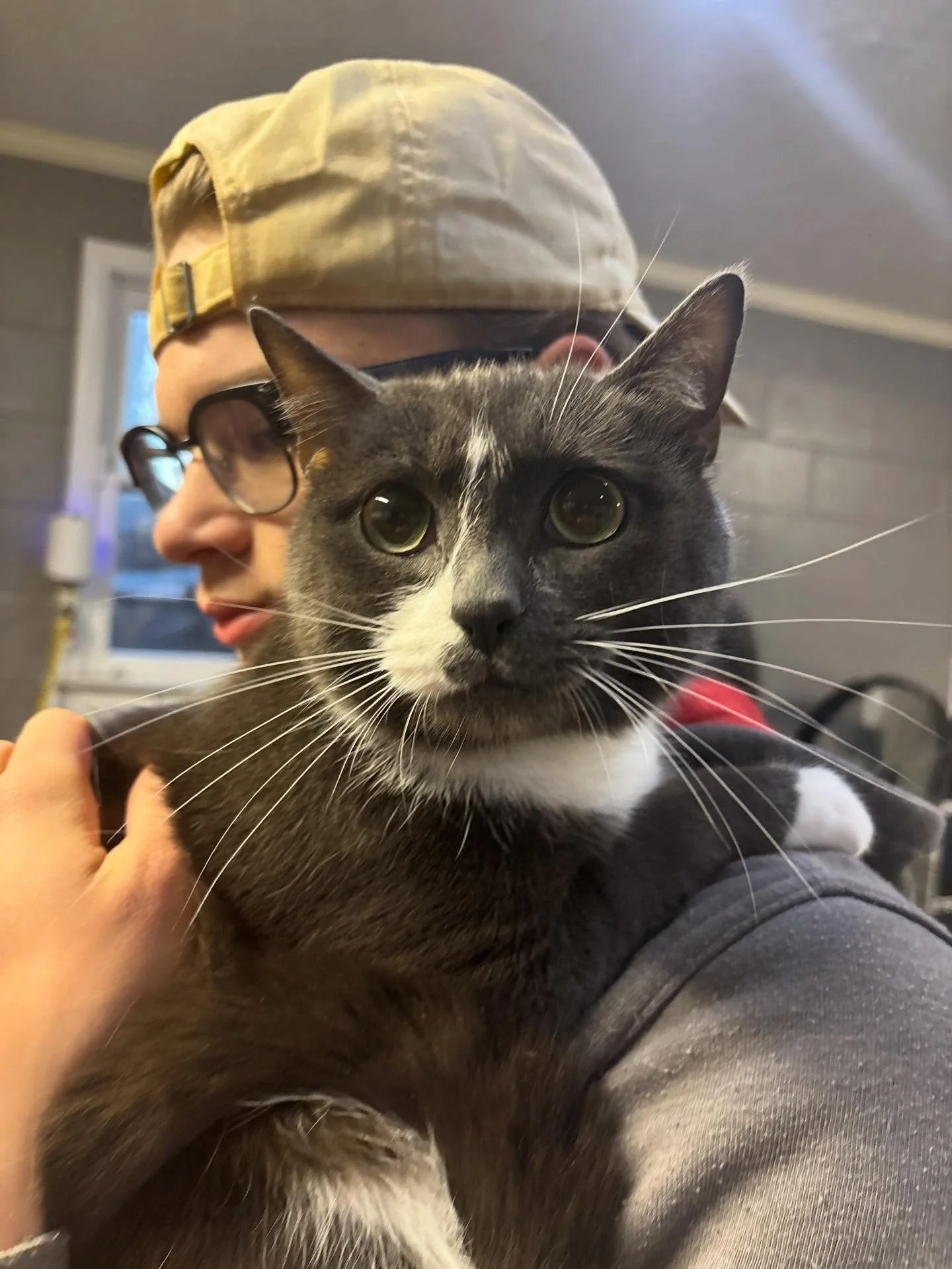 Poster is a sweet baby!