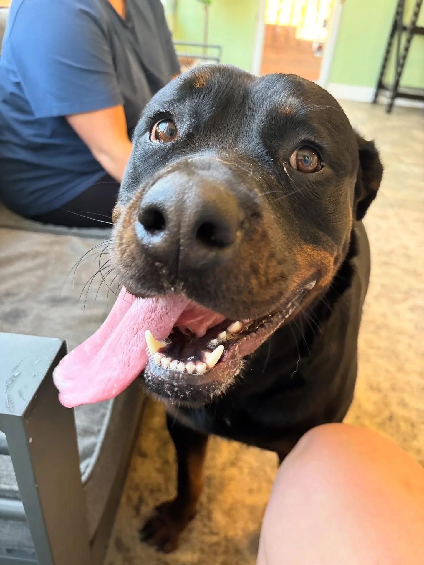 Xena is the sweetest girl!