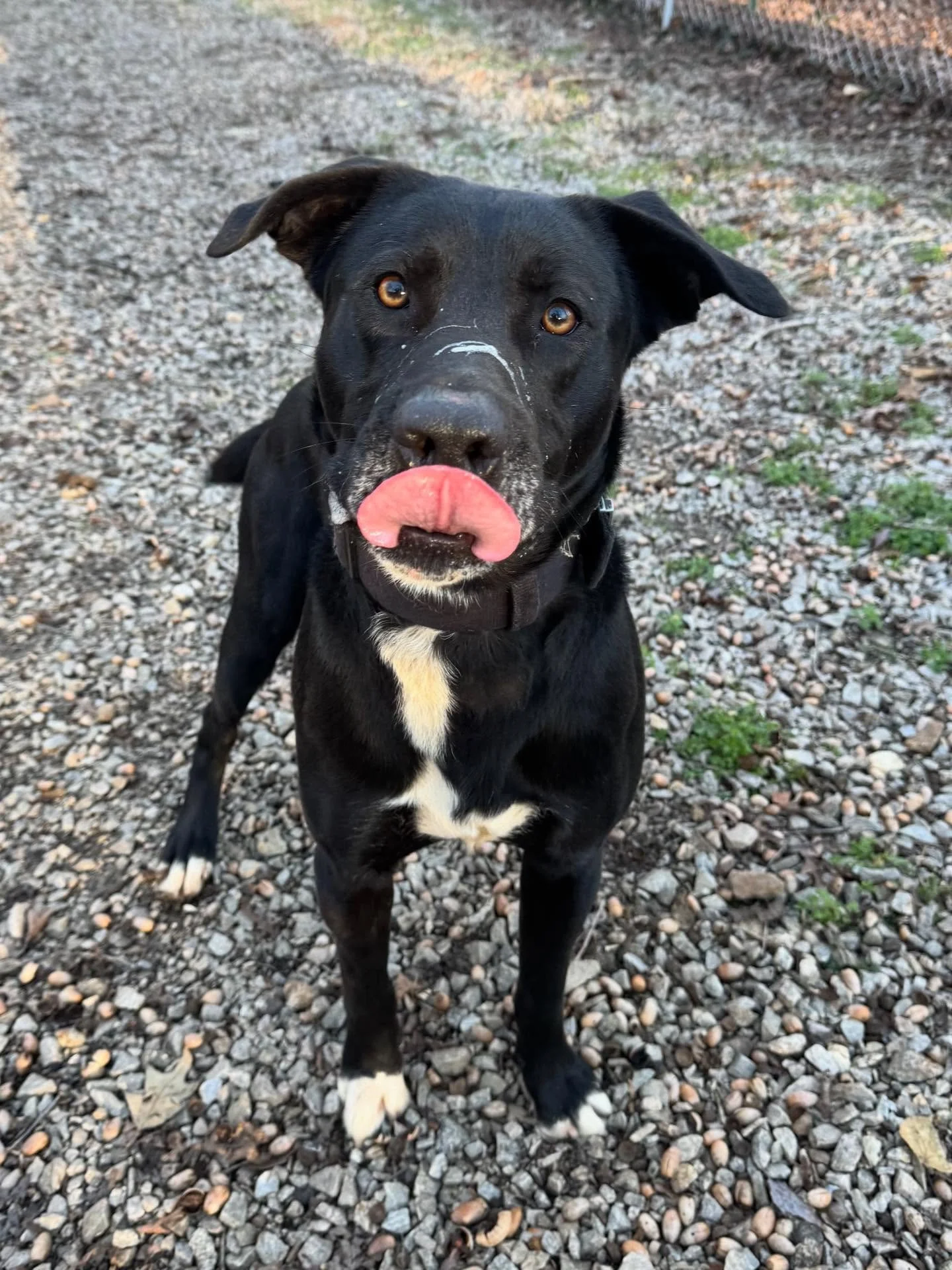 We all love sweet Zeus man!