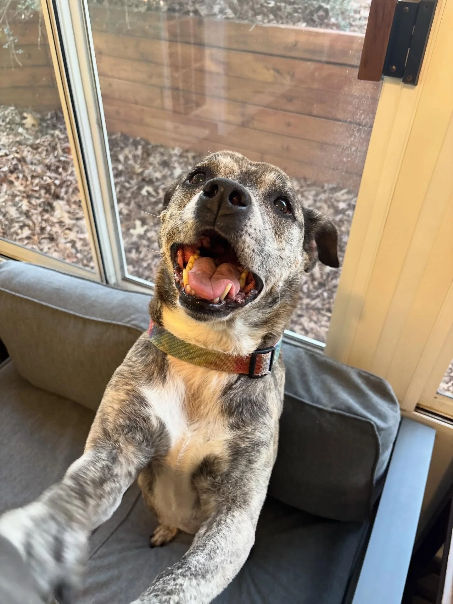 Junebug is getting some quick cuddles before her nature walk!