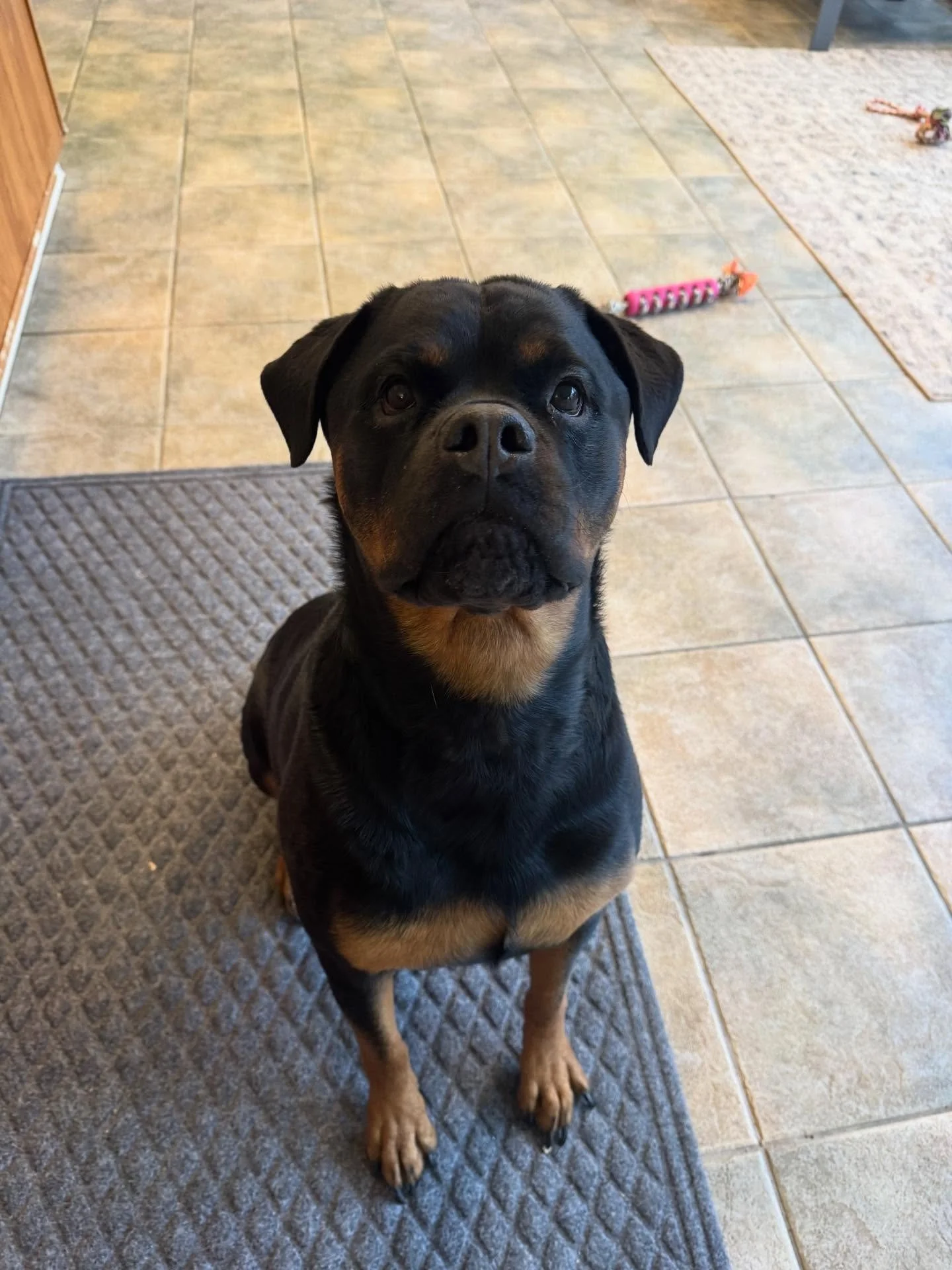 Stella is the sweetest girl ever!