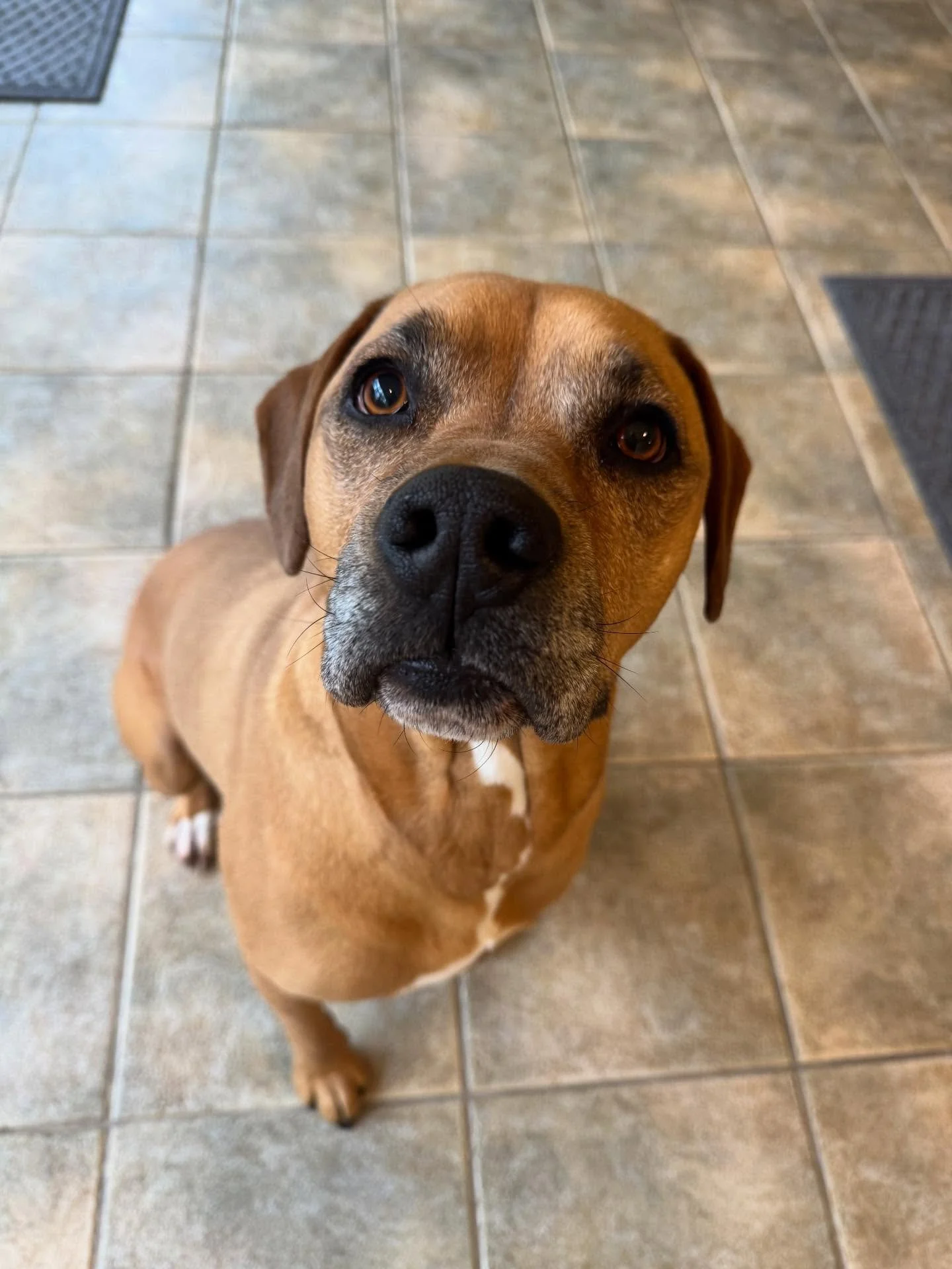 Tucker is always up for some extra cuddles!