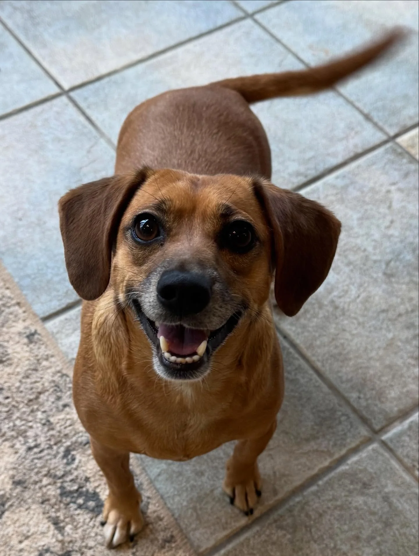 Honey and Hazel are staying warm this evening!