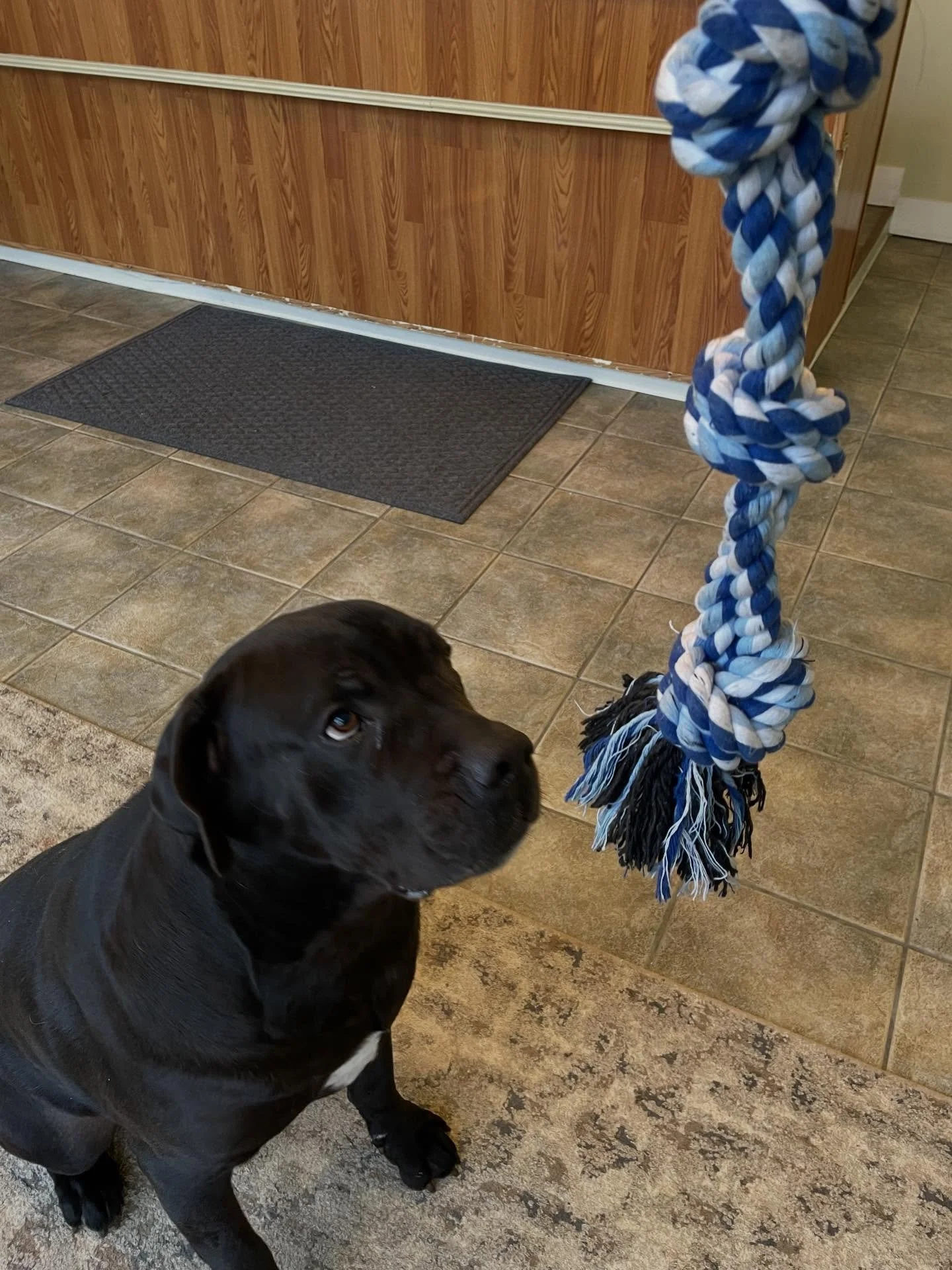 Hanging with sweet Oby!