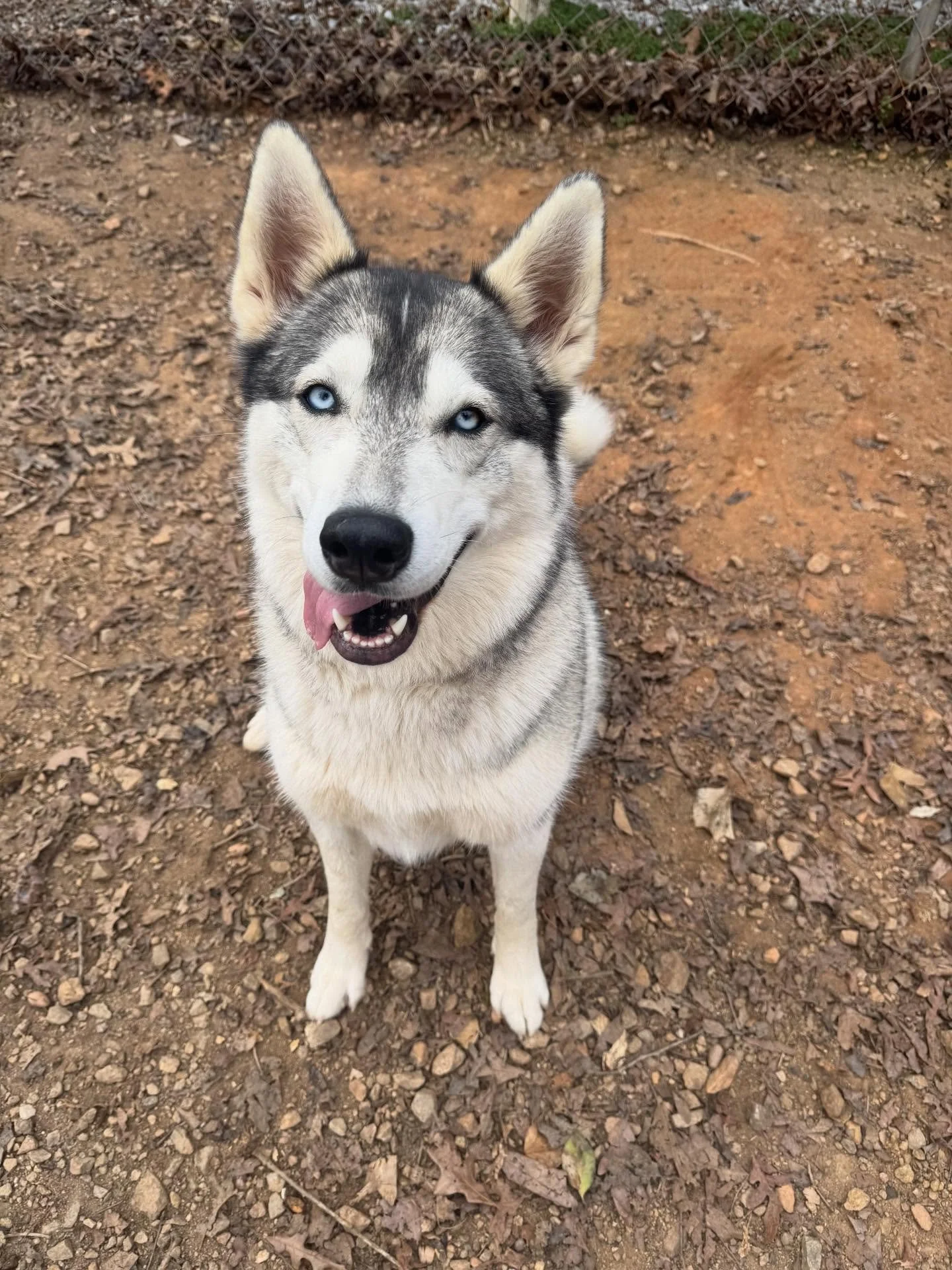 It&rsquo;s always a good time when Charlotte comes to visit!