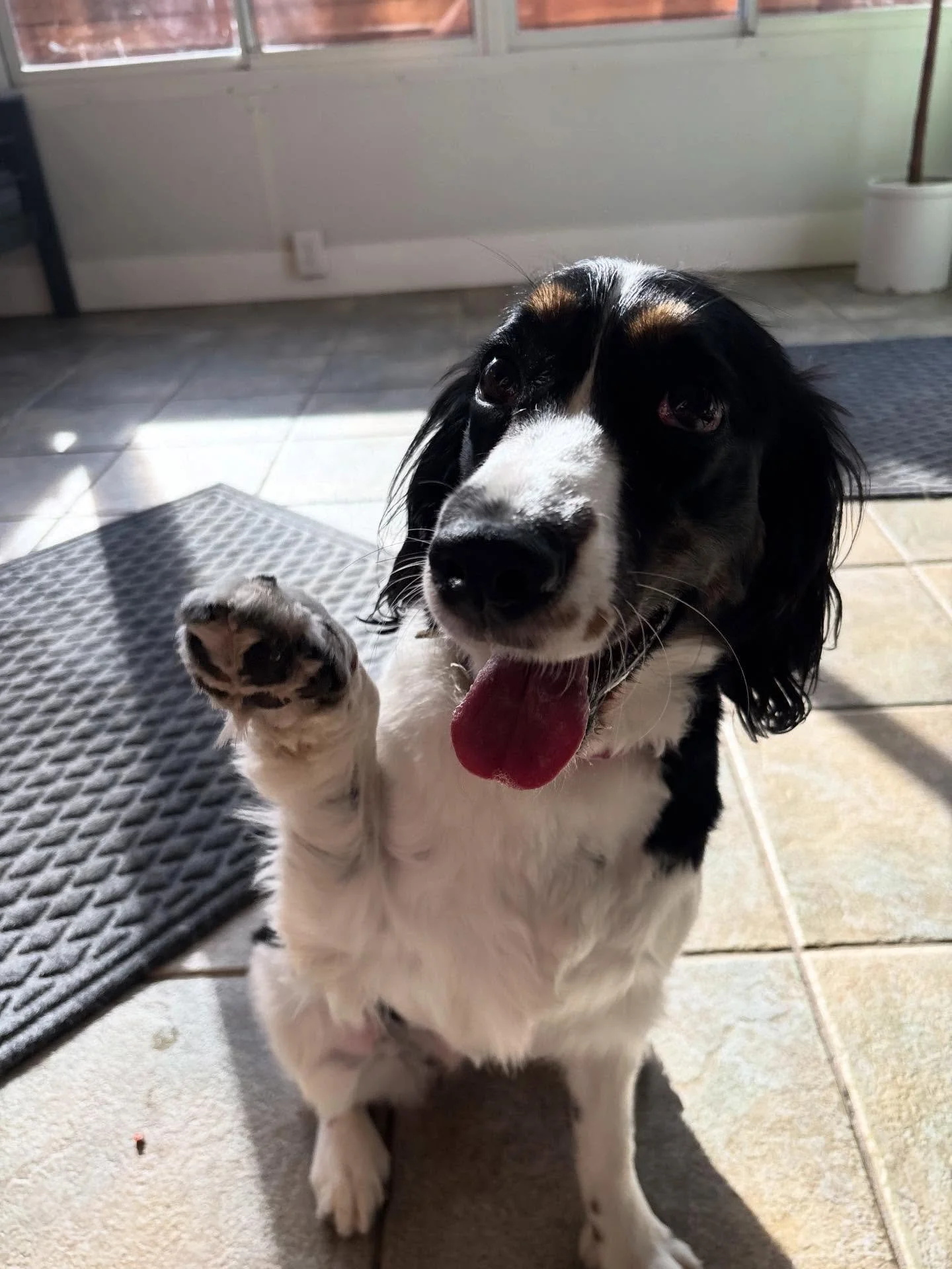 We love Miss Maebelle!