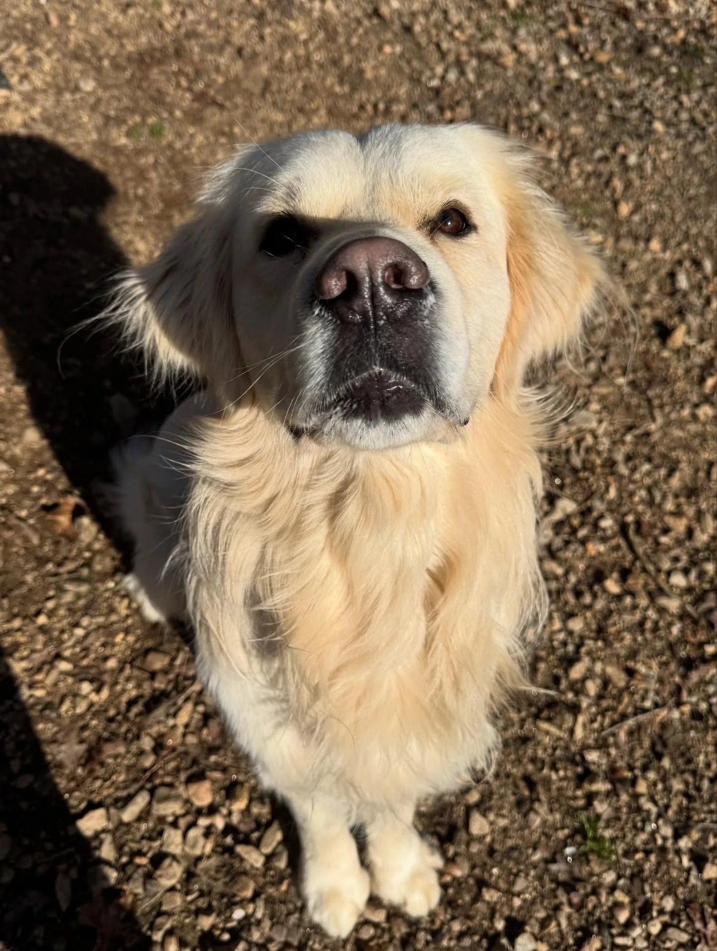 Luca and Nico are soaking up some sun!