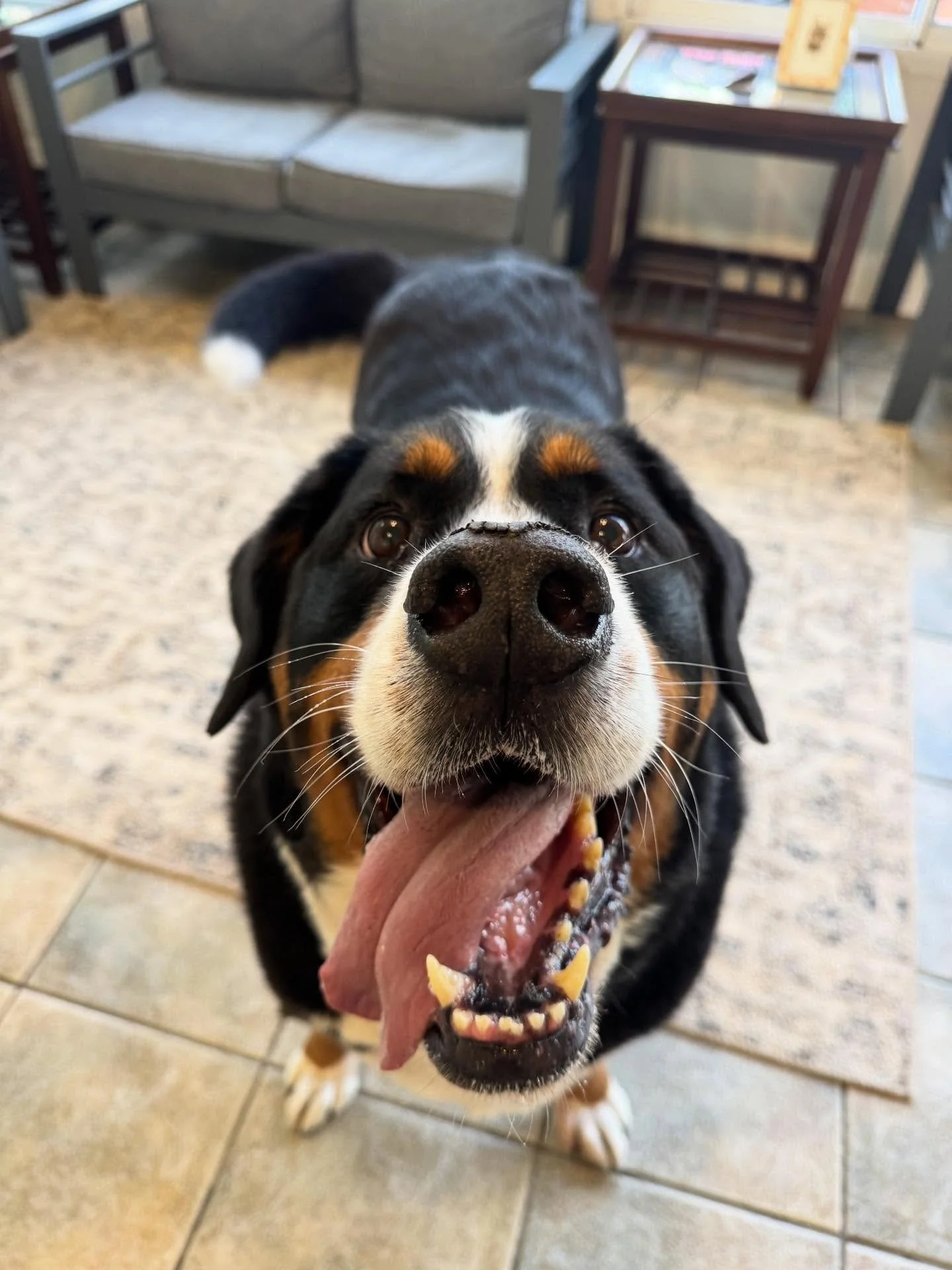 Boudreaux says Happy Friday!