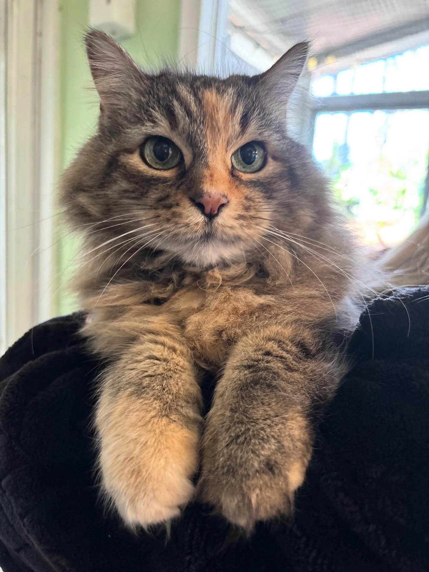 Soni is just the sweetest angel!