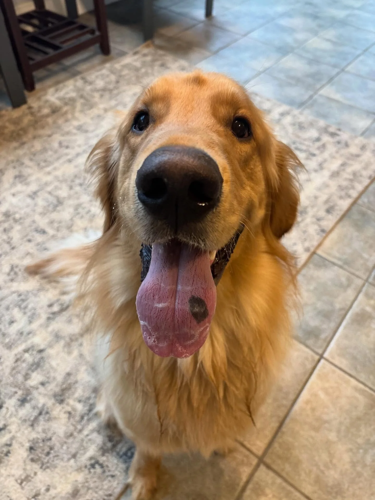 We are hanging out with sweet Gus this morning!