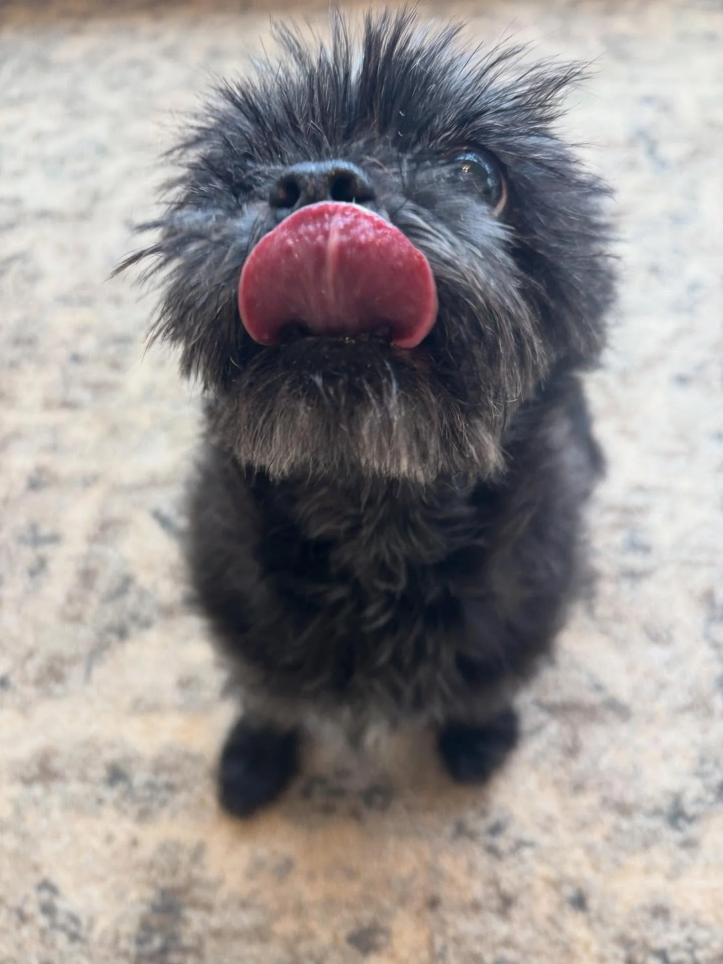 We love laptimes with Mimi!!