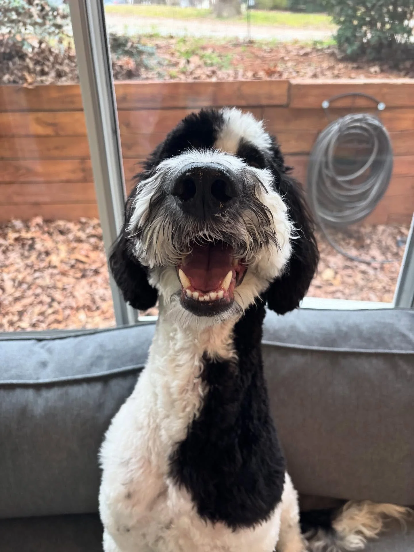 Elvis is just a handsome man!