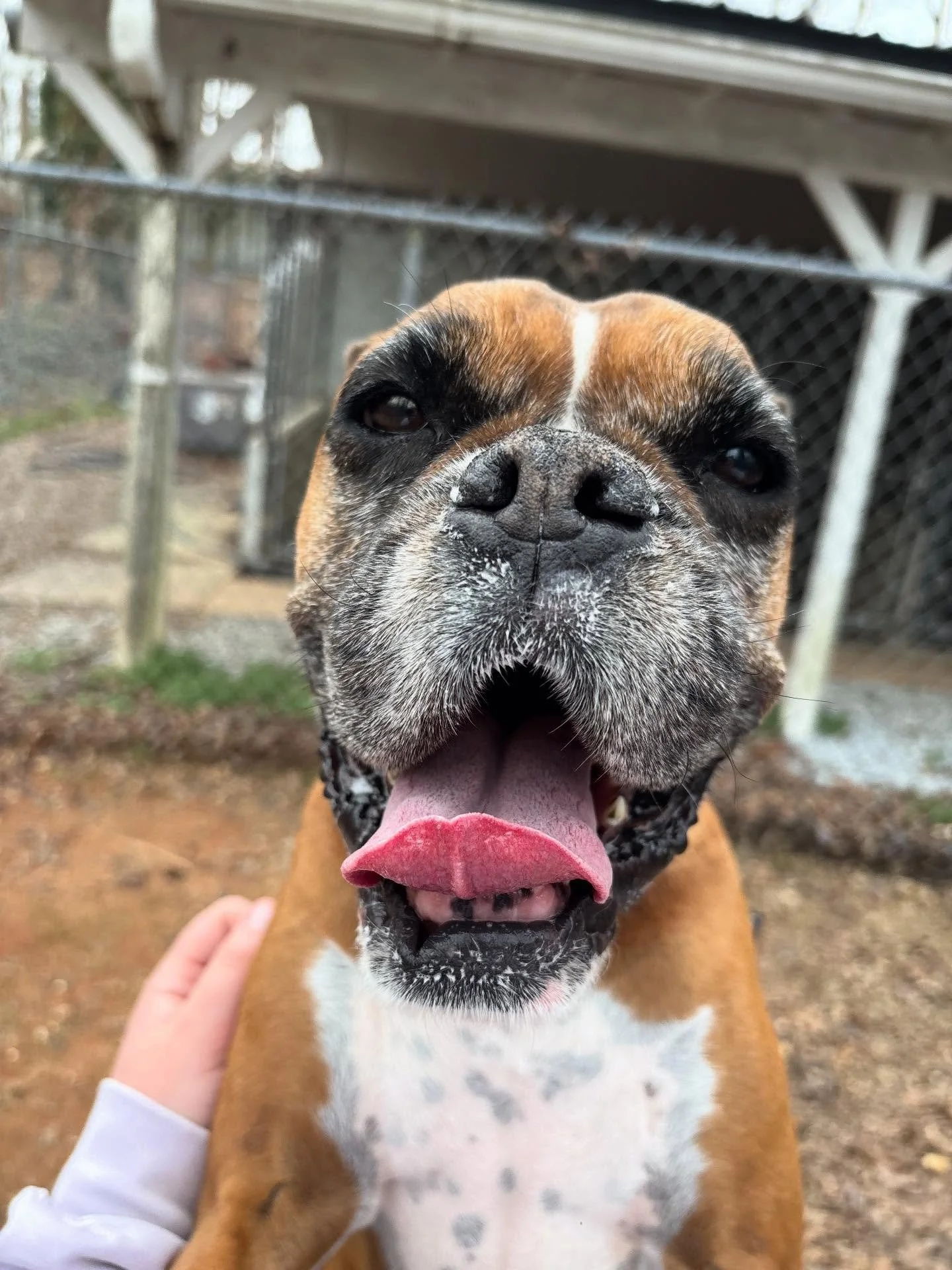 We always know it&rsquo;s going to be a great day when Zeva girl comes for daycare!