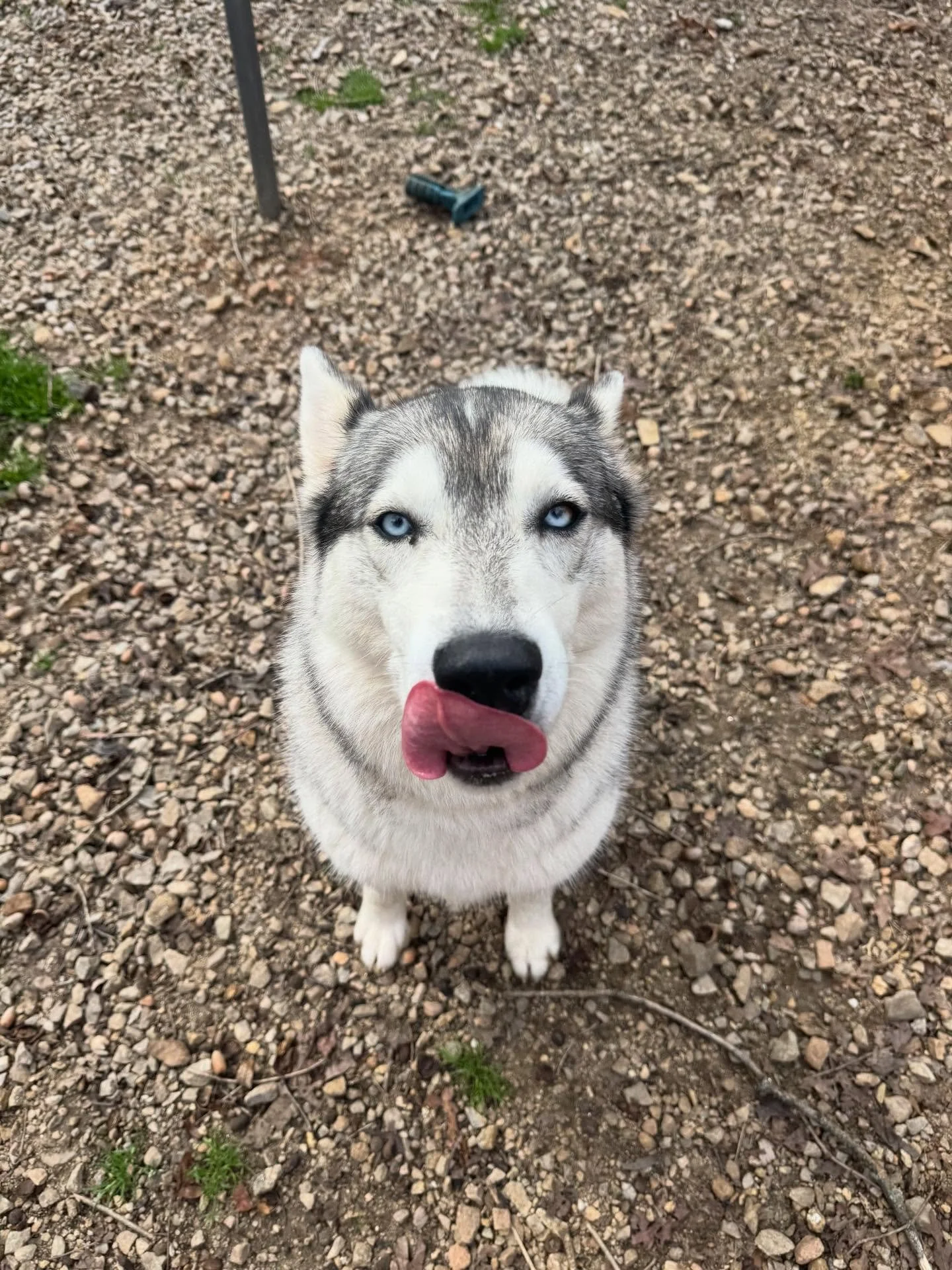 Playtime with Charlotte girl!