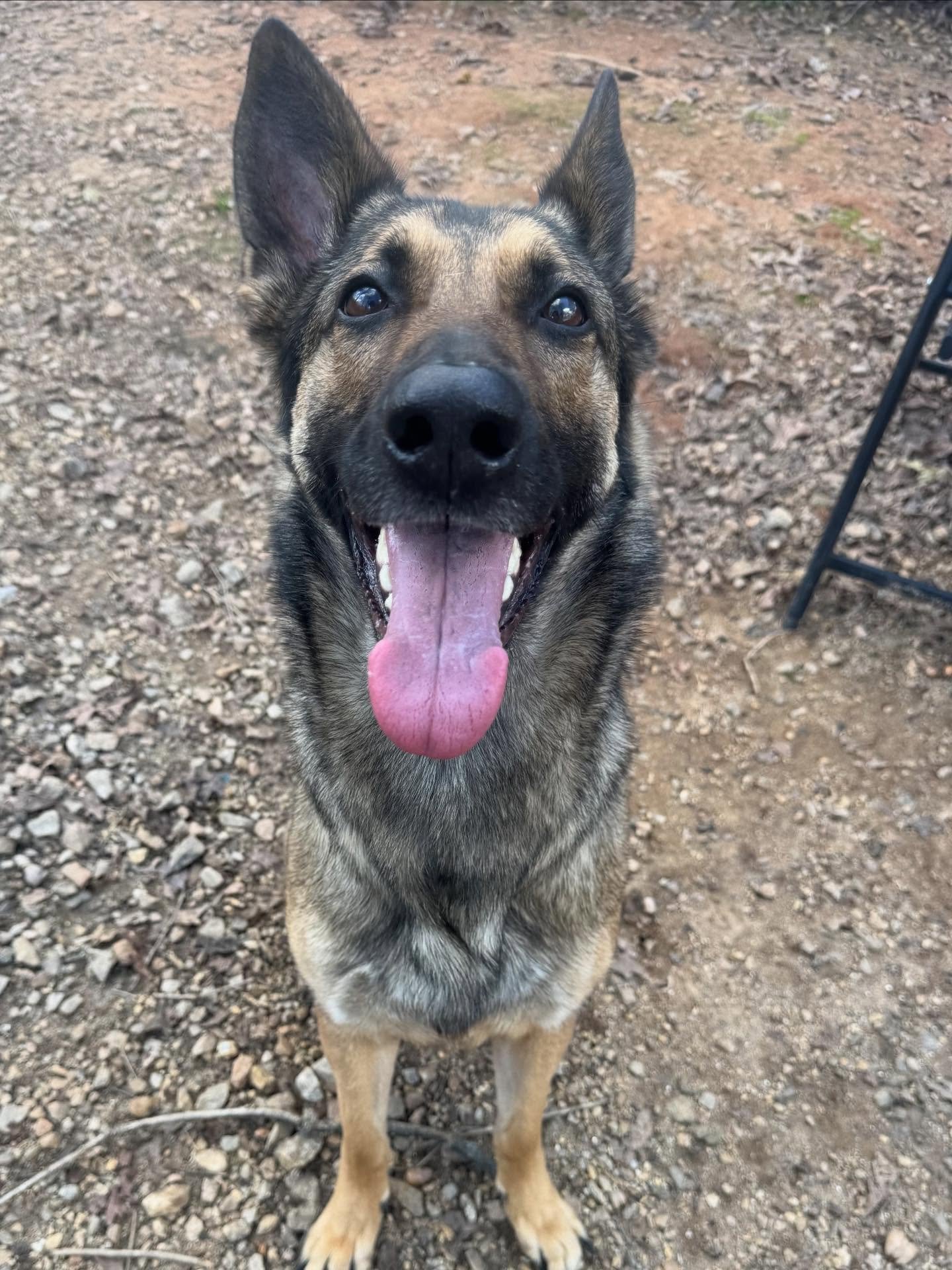 Willow sure does know how to smile for the camera!