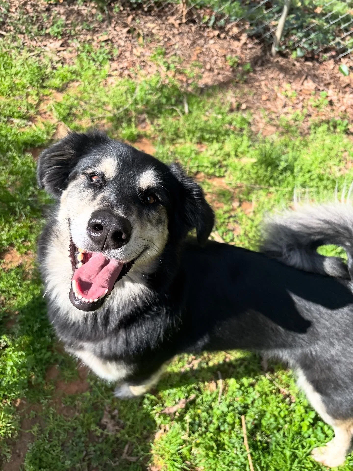 Addy and Theo are the sweetest pair!