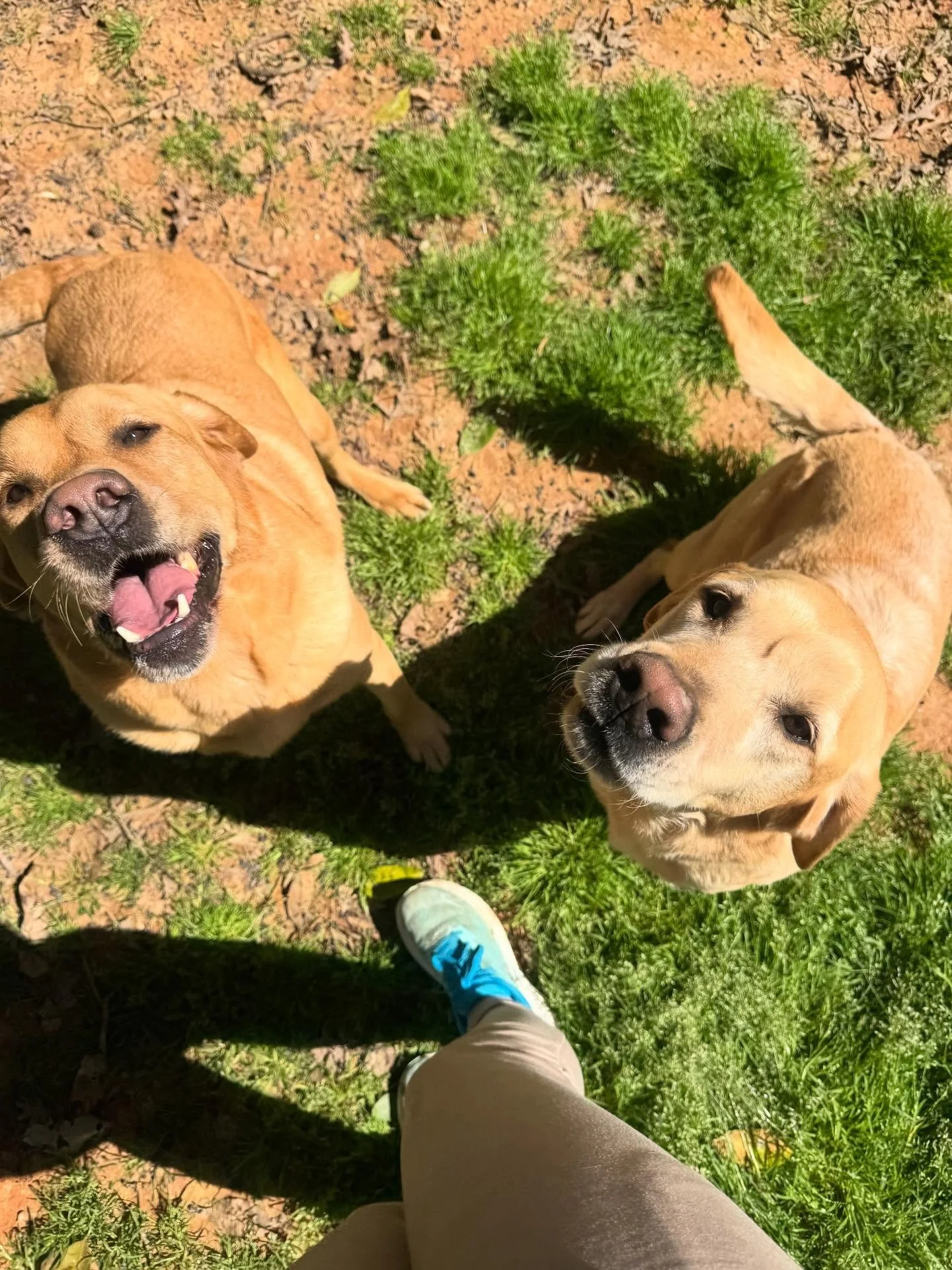 Life is always fun when canyon and river are around!