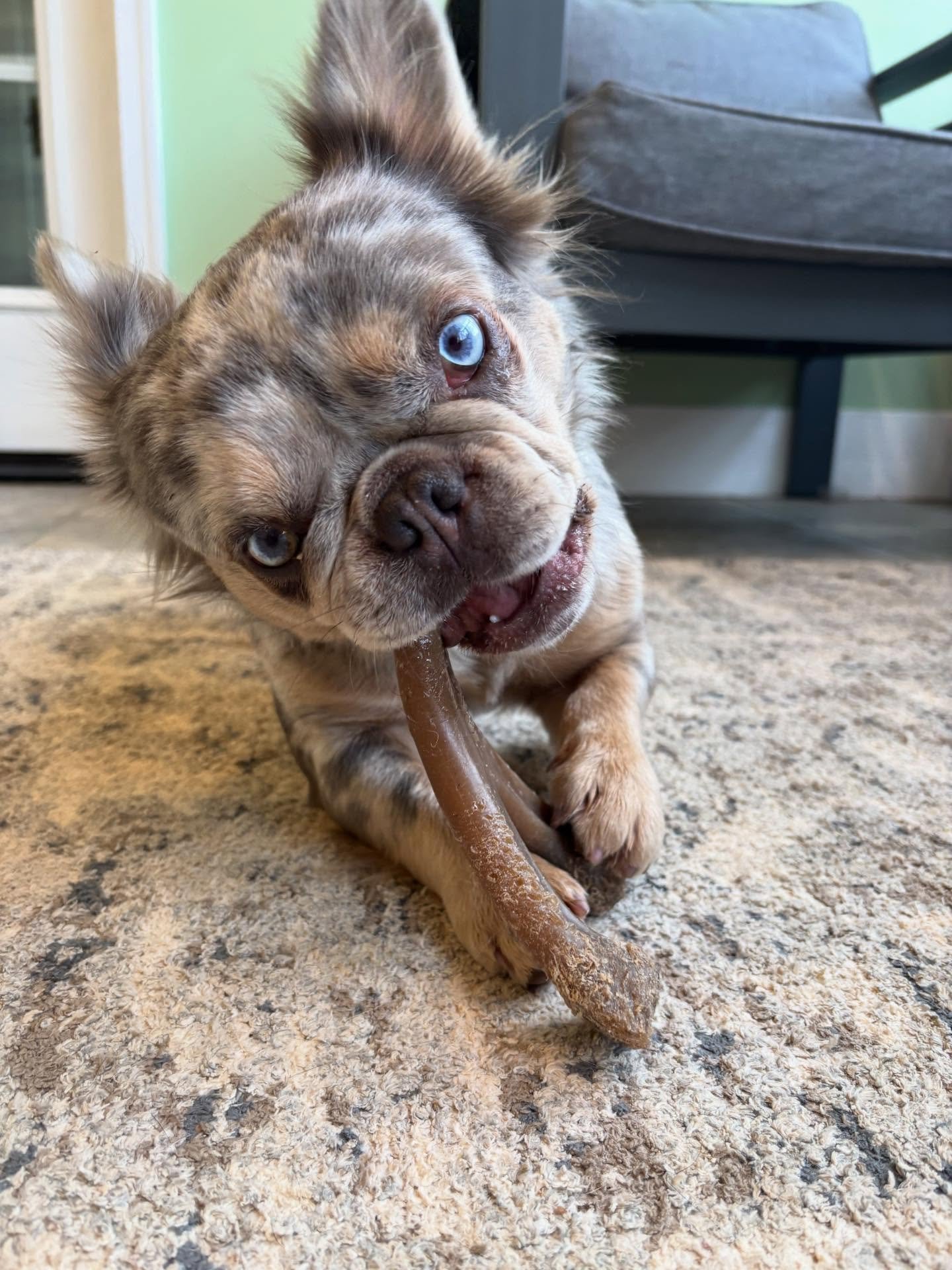 We love hanging out with Fergie!