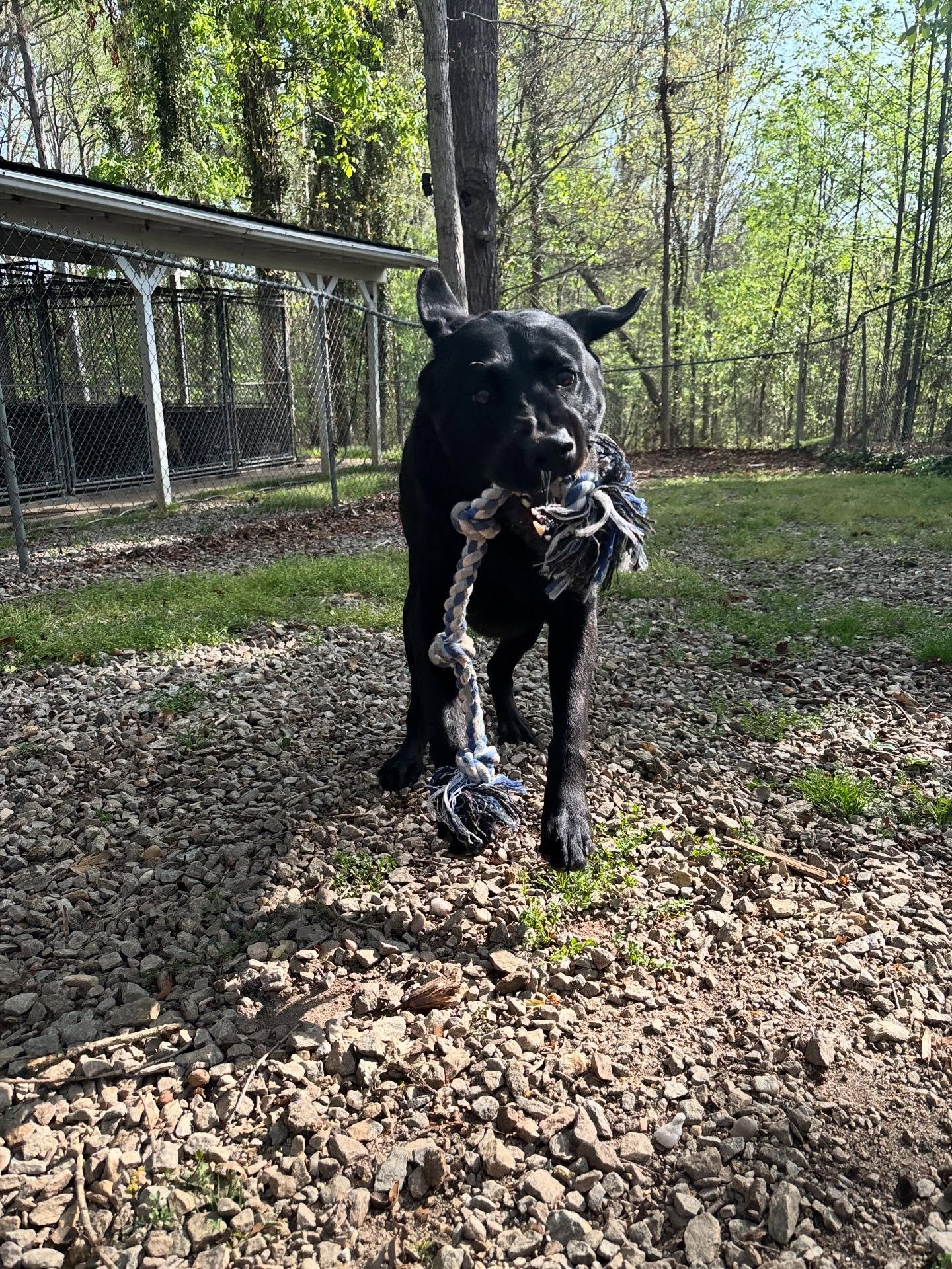 Waylon and Rocky are having a blast with us!!