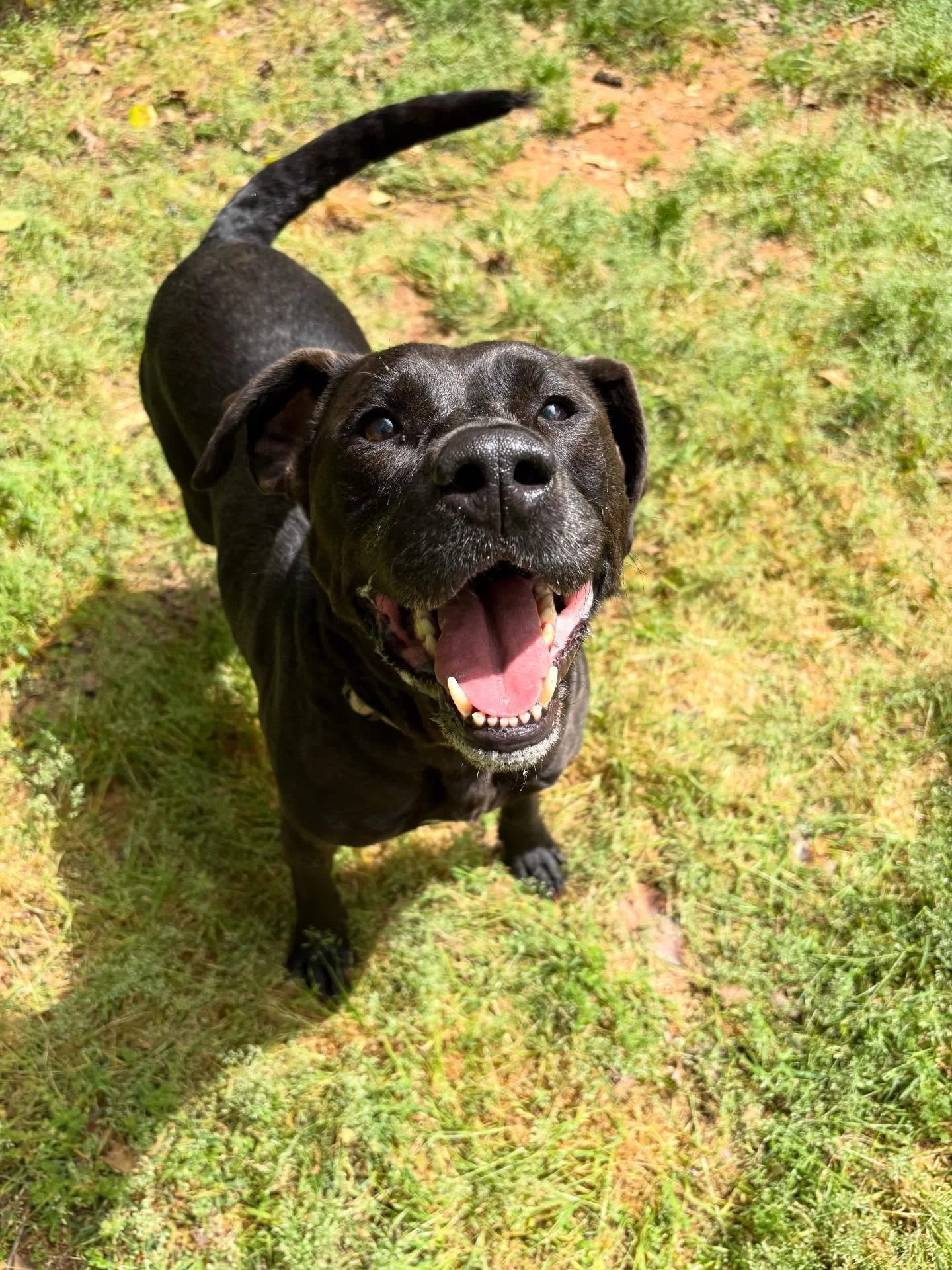 Nell and Maverick are having some fun in the sun!