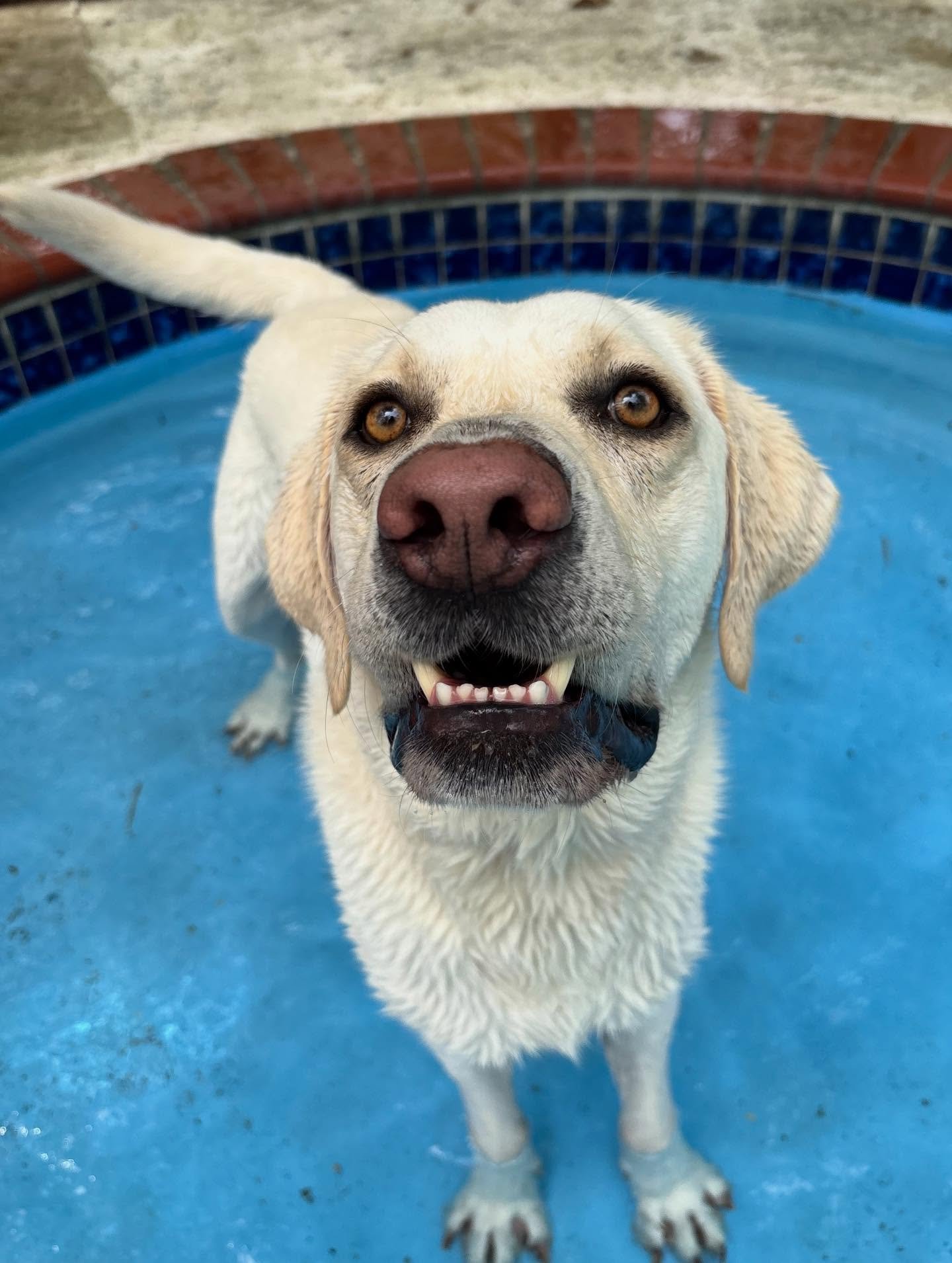 Finn loved his swim time!