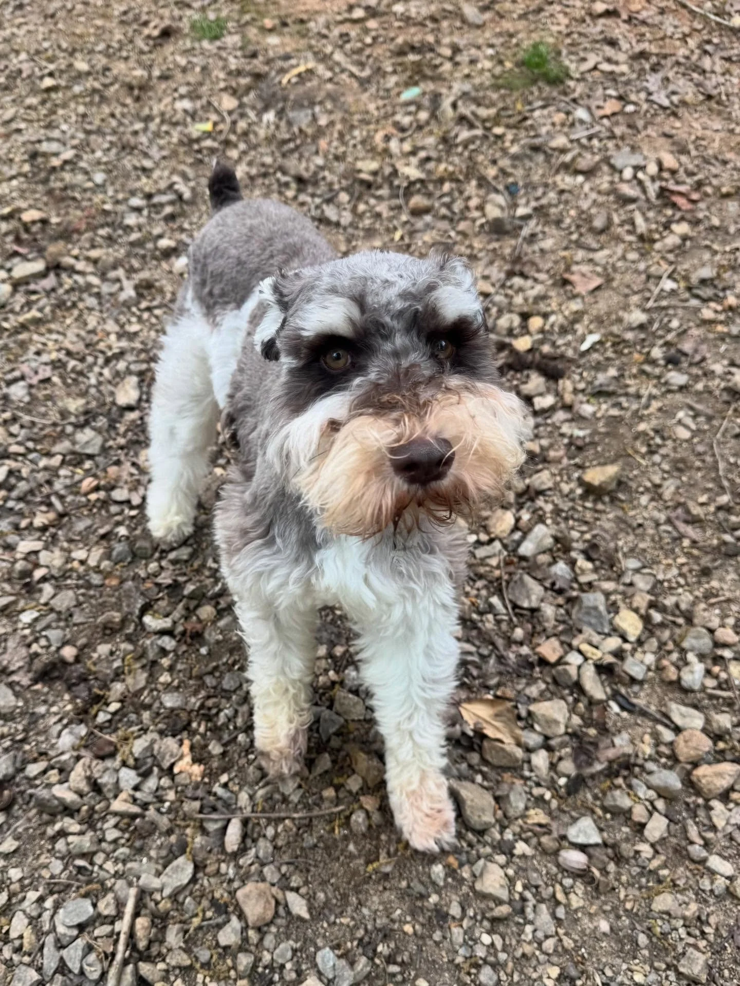 Hendrix is a handsome man!!