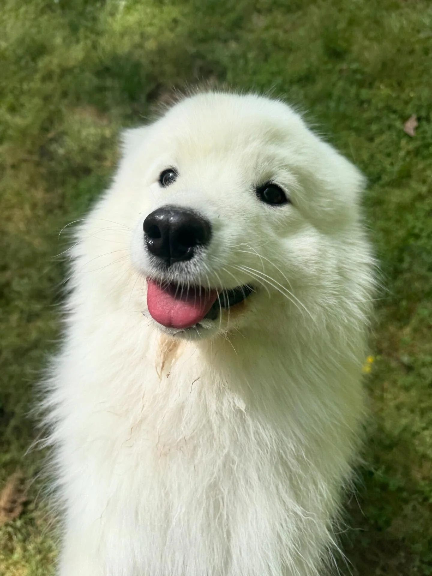 Ivy is such a pretty girl!!