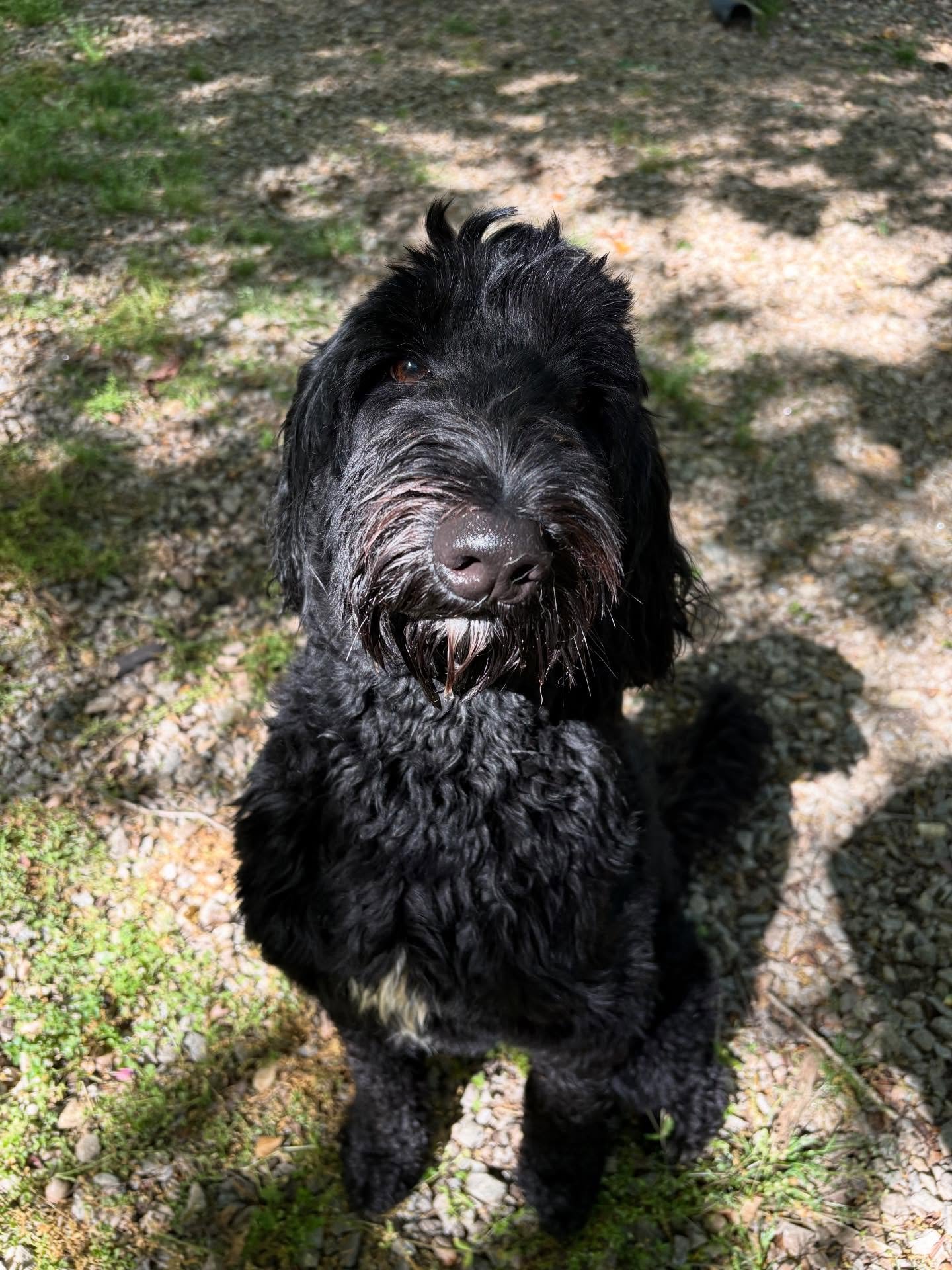 George is one handsome boy!